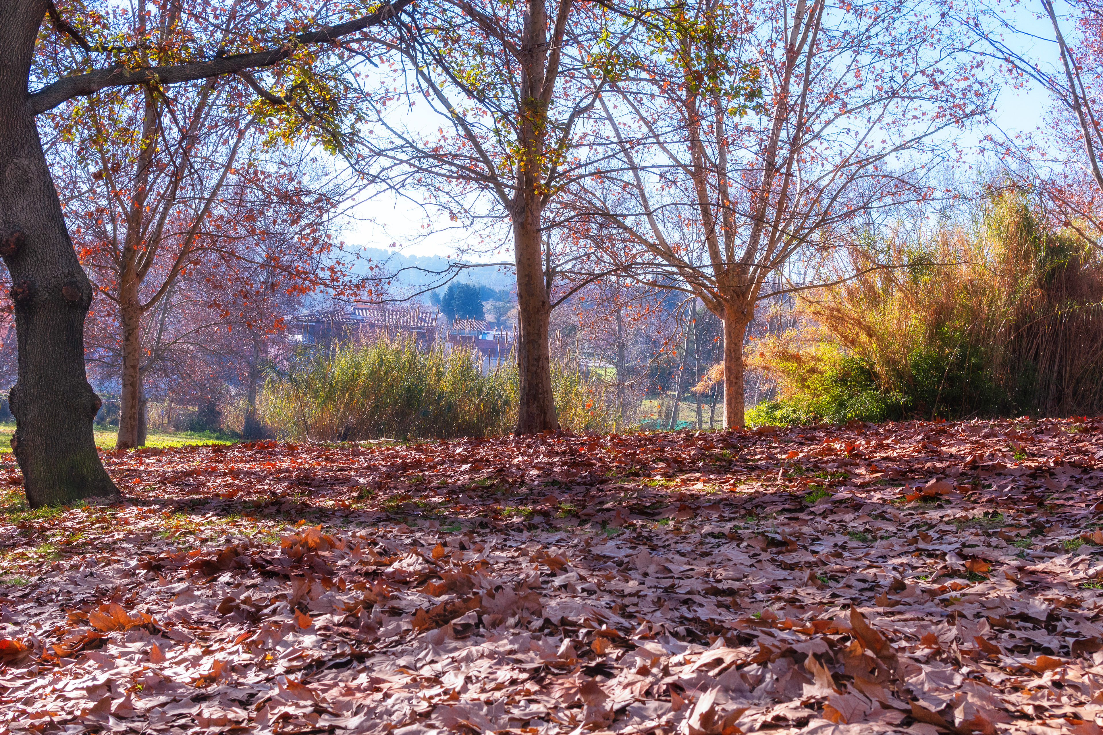Parque en Sant Quirze del Vallès