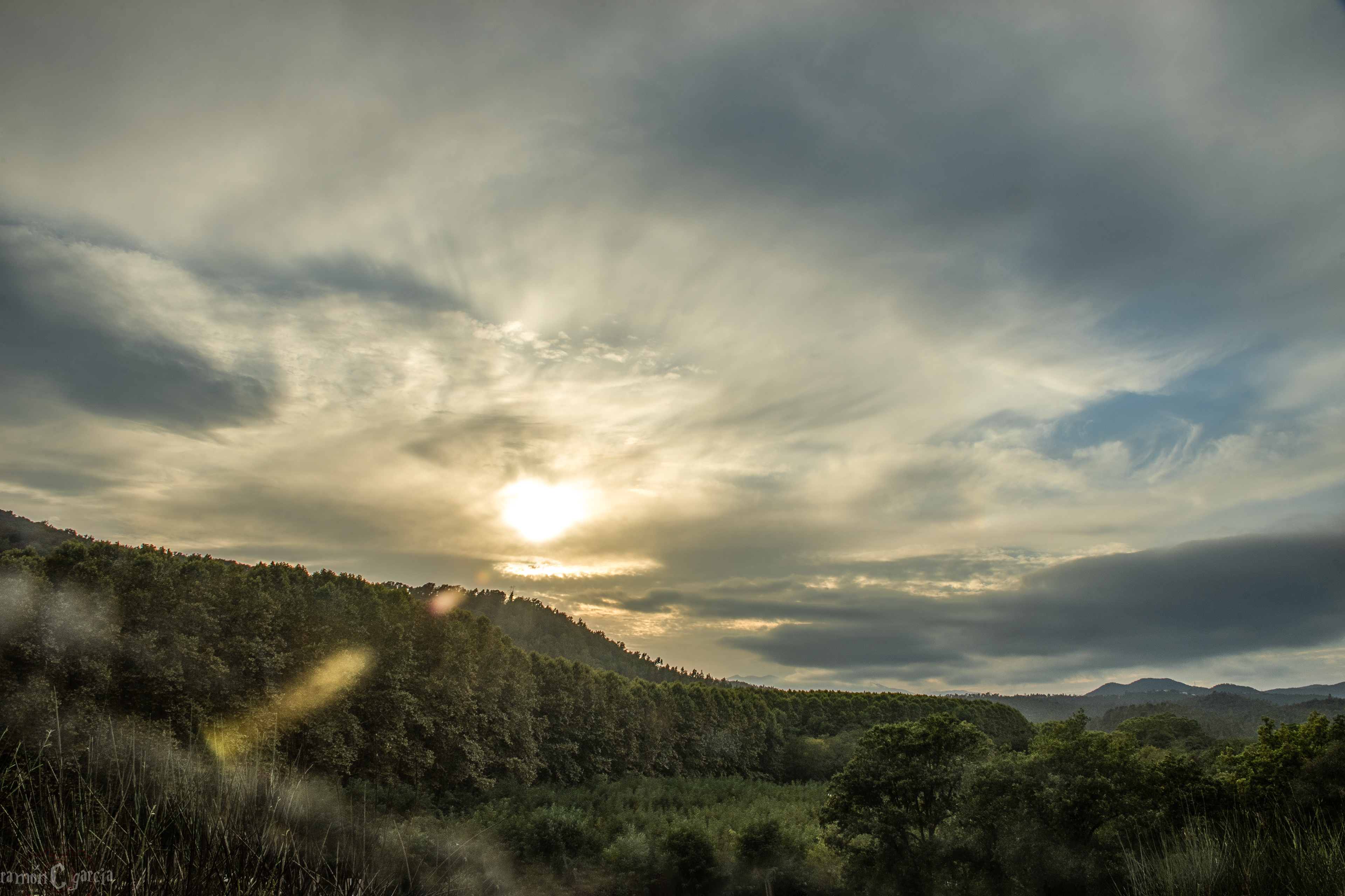 Atardecer en Riudarenes