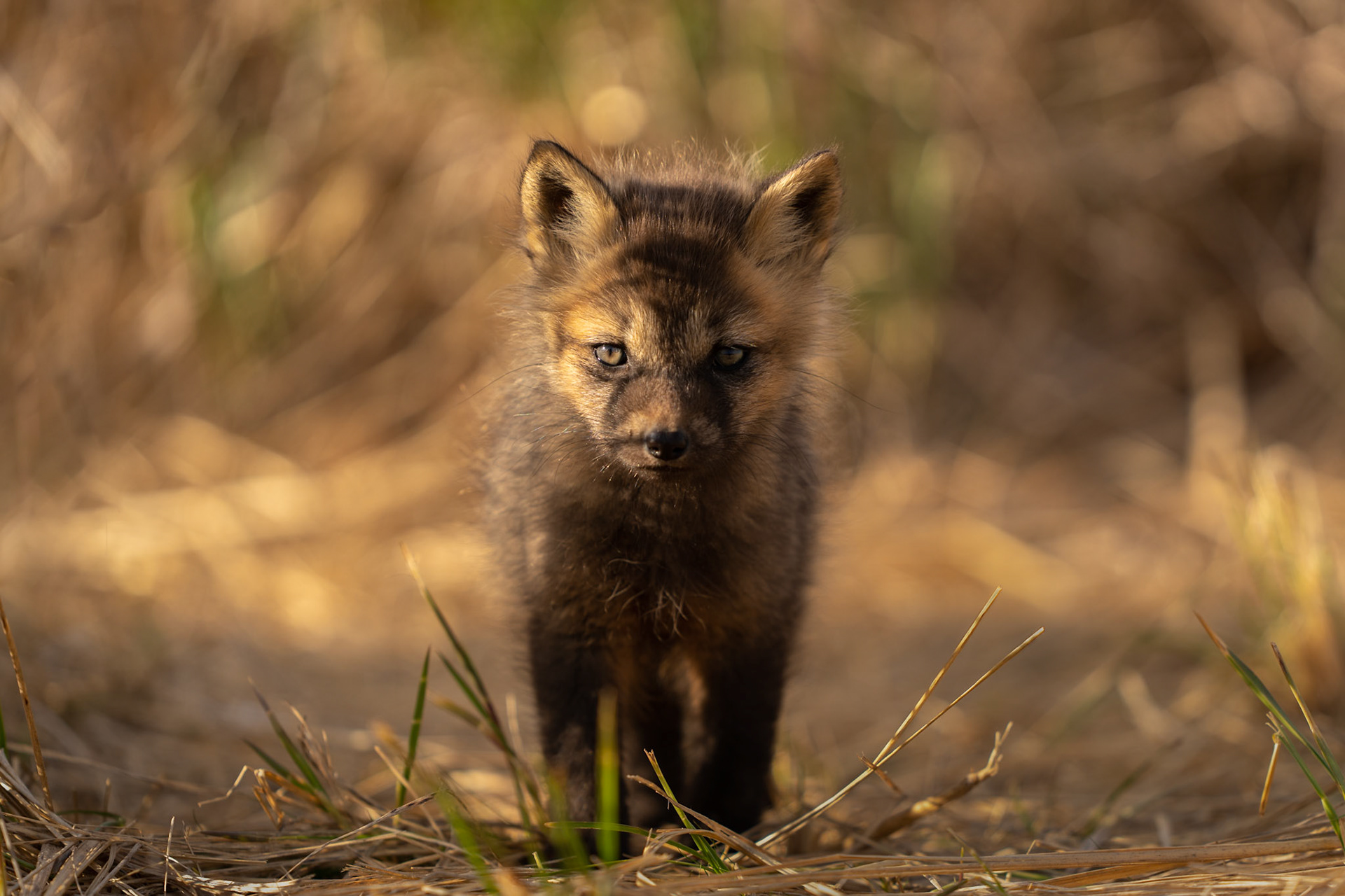 Standing guard