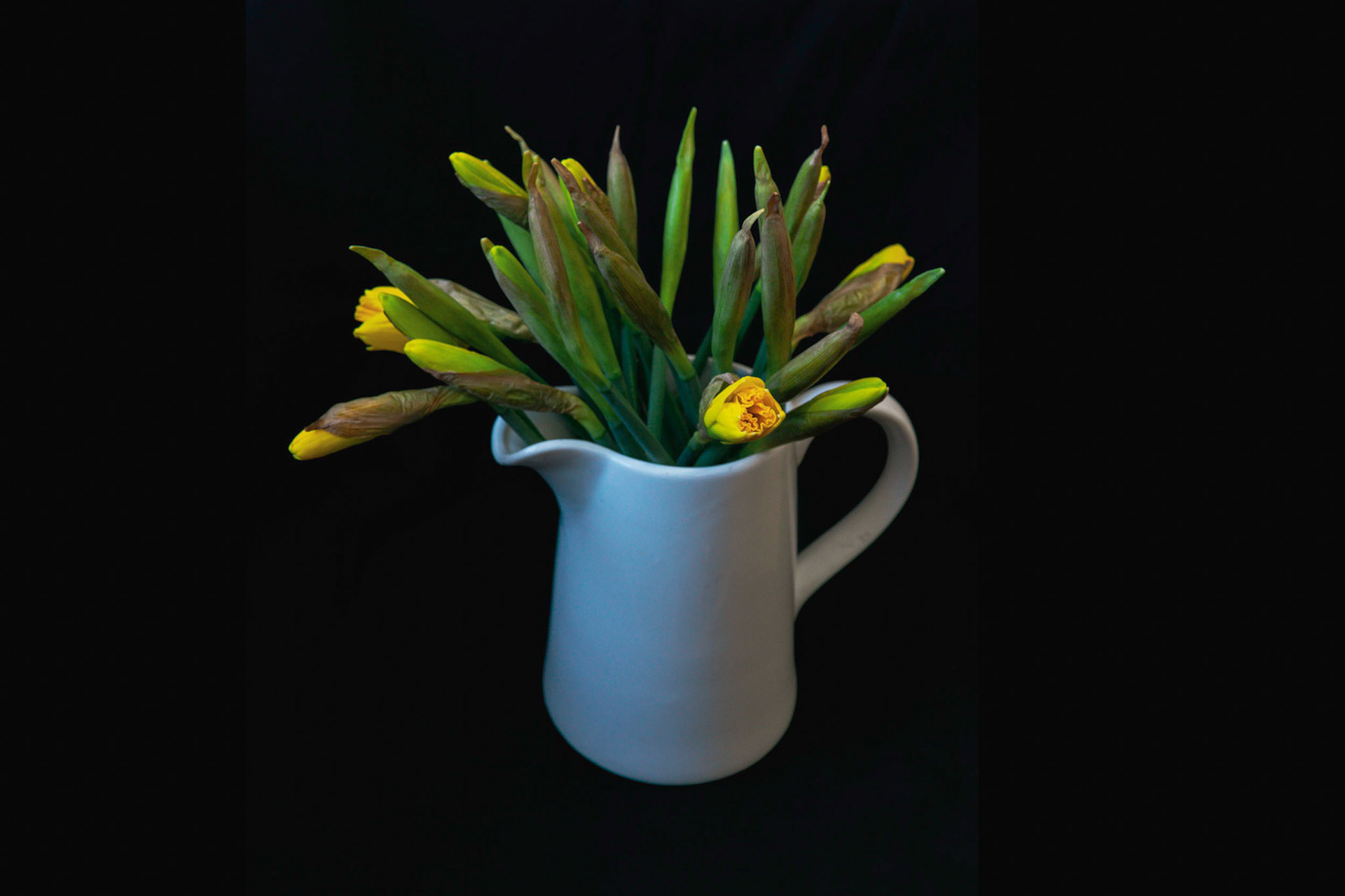 35mm 1/40s f/9 ISO 50