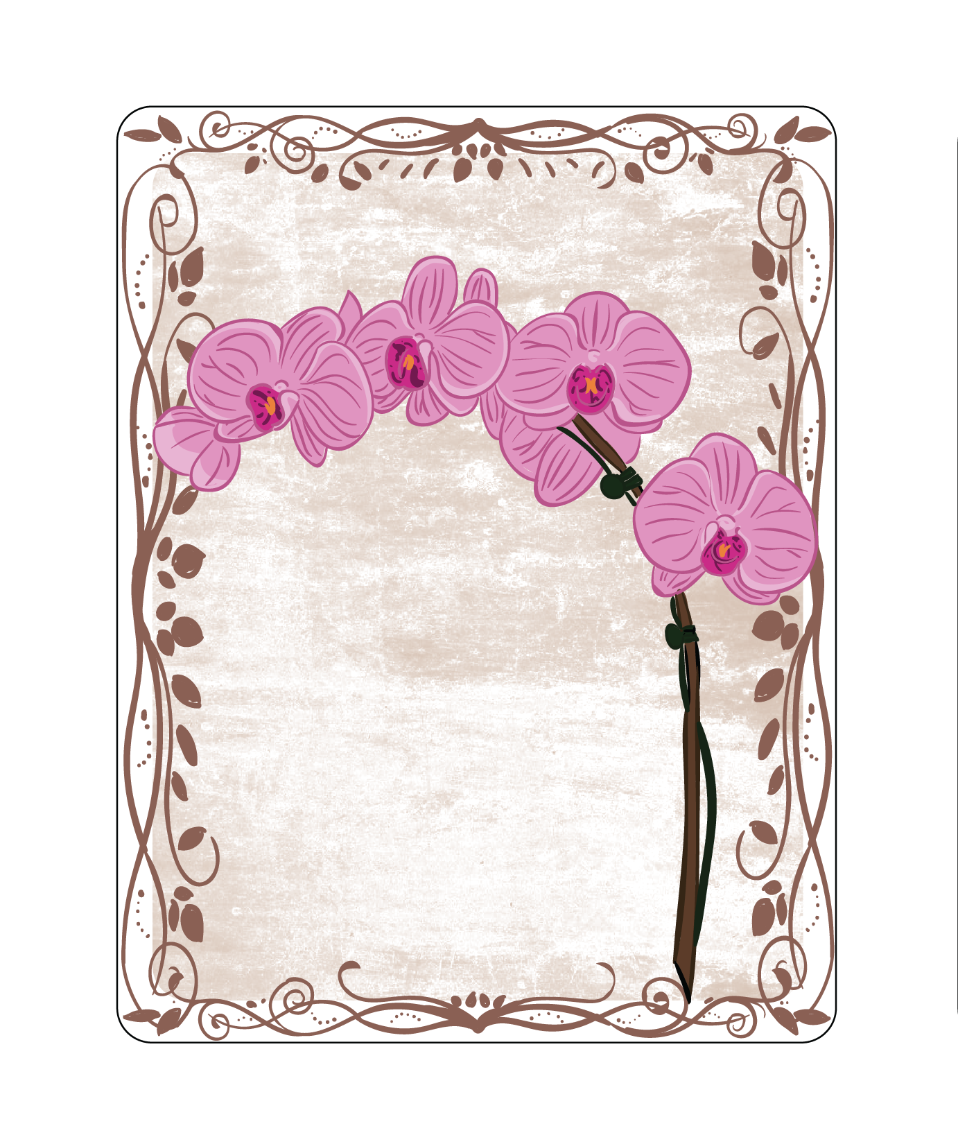 Orchid
