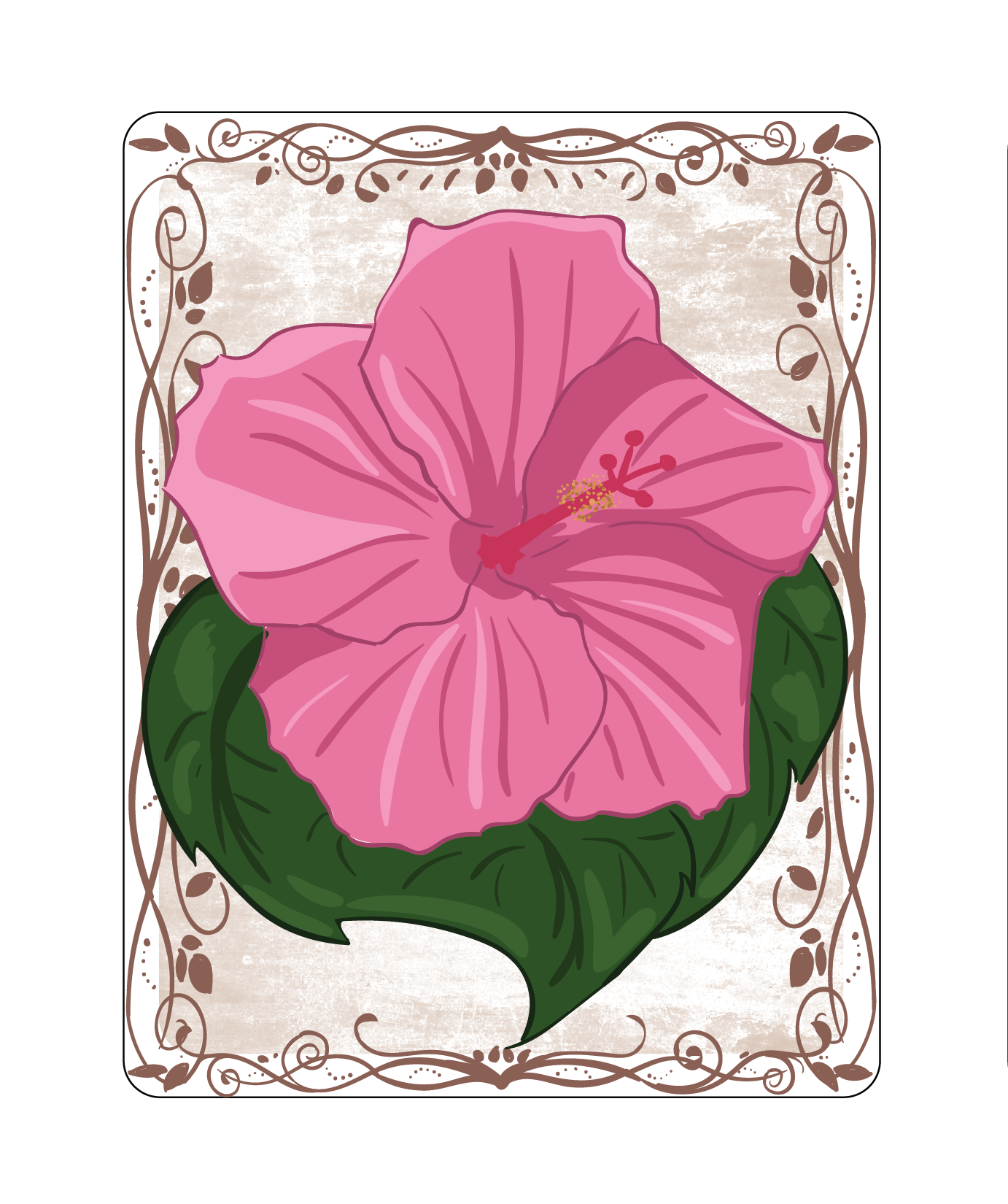 Hibiscus