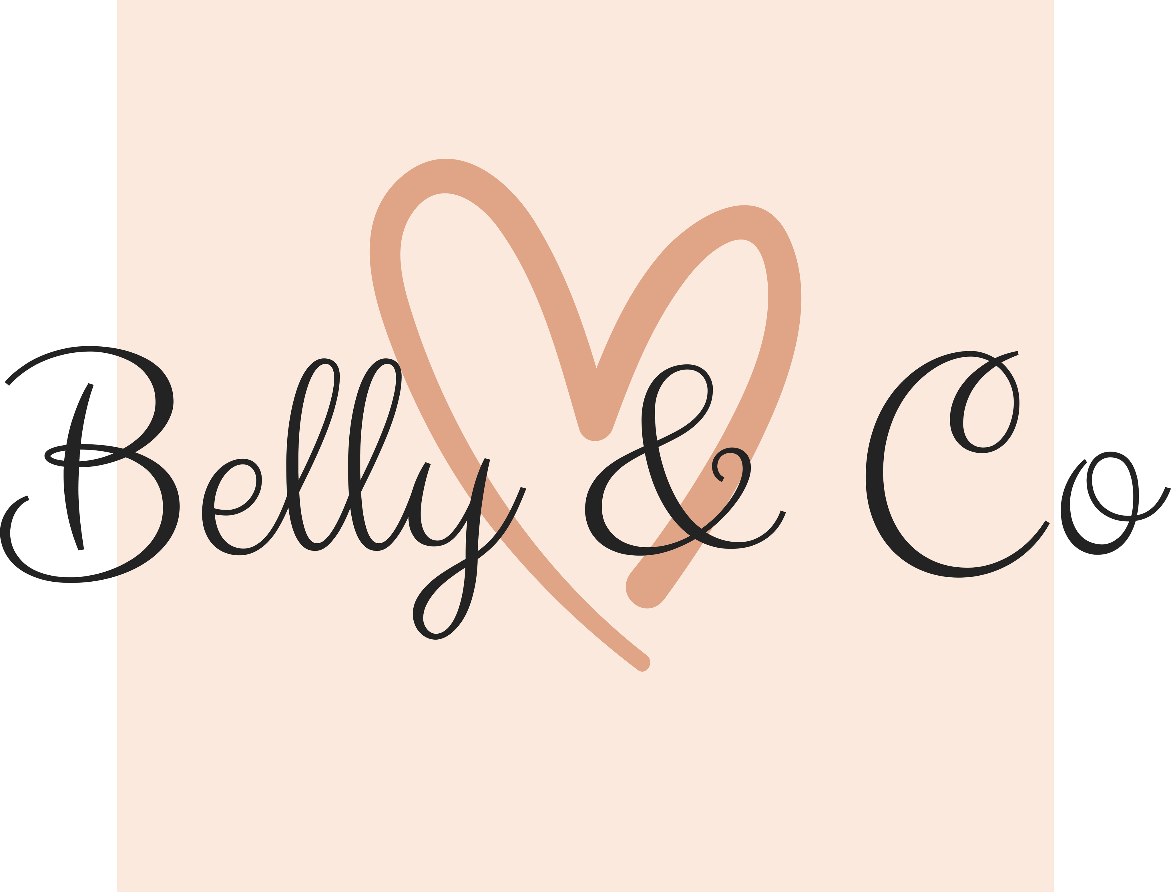 BELLY & CO