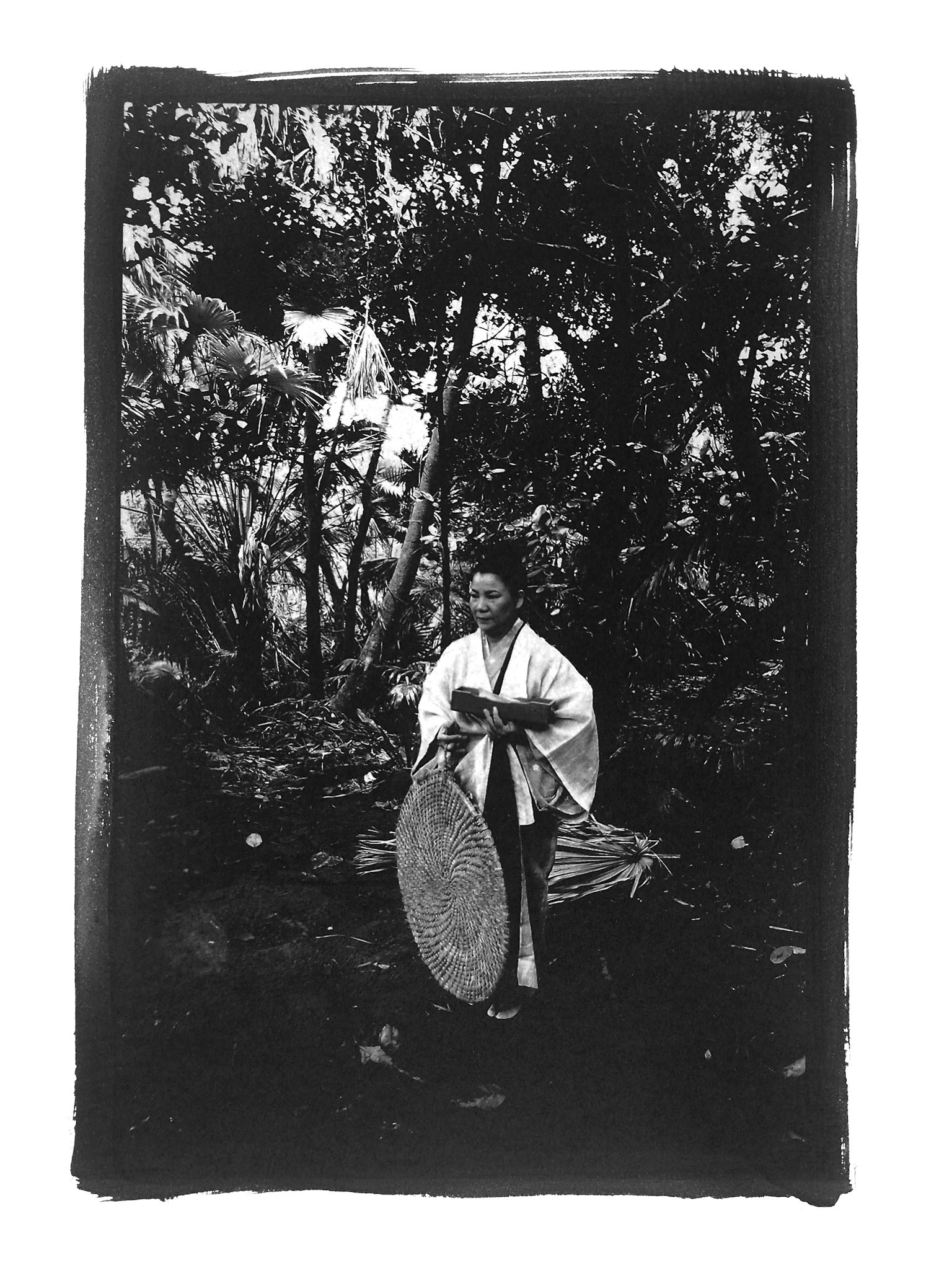 Series OKINAWA