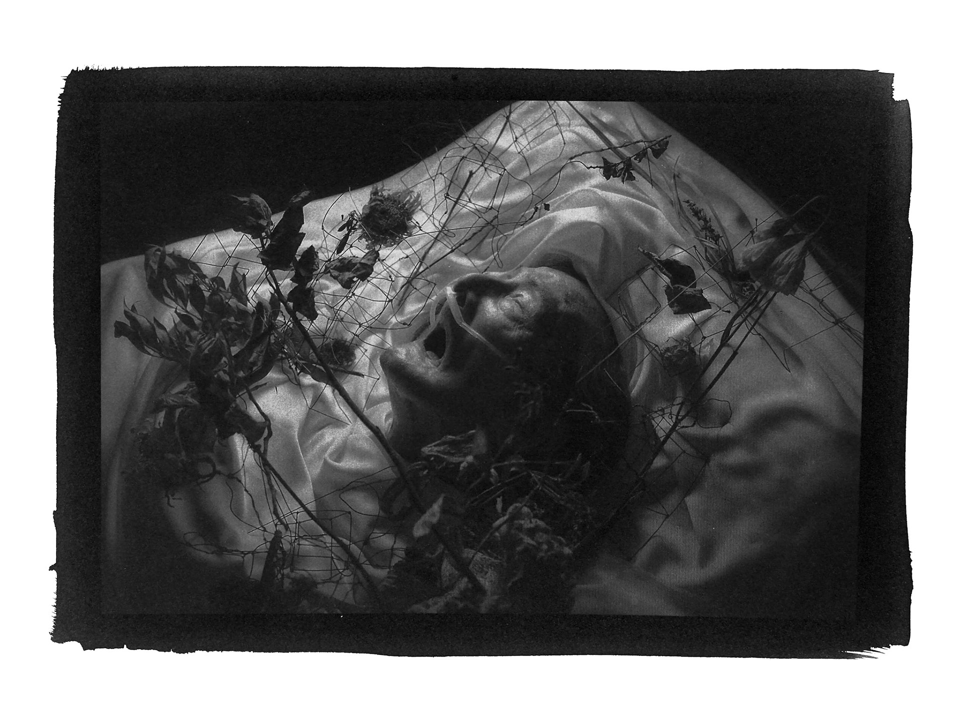 Series LAST DANCE OF KAZUO OHNO