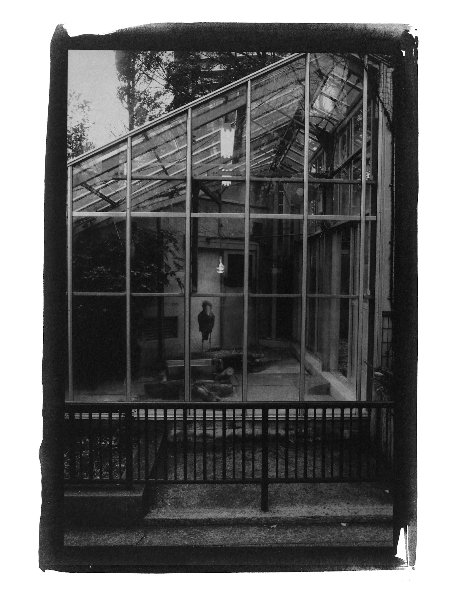 Series GARDEN