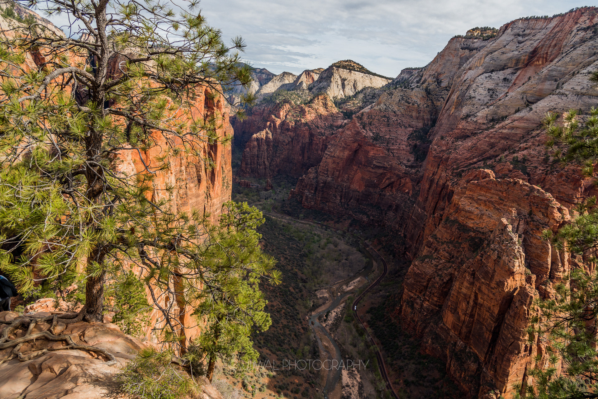View of Canyons from the top of Angels Landing at Zion National Park USA