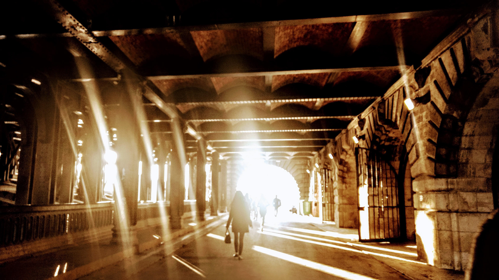 Thesis on chicken picture