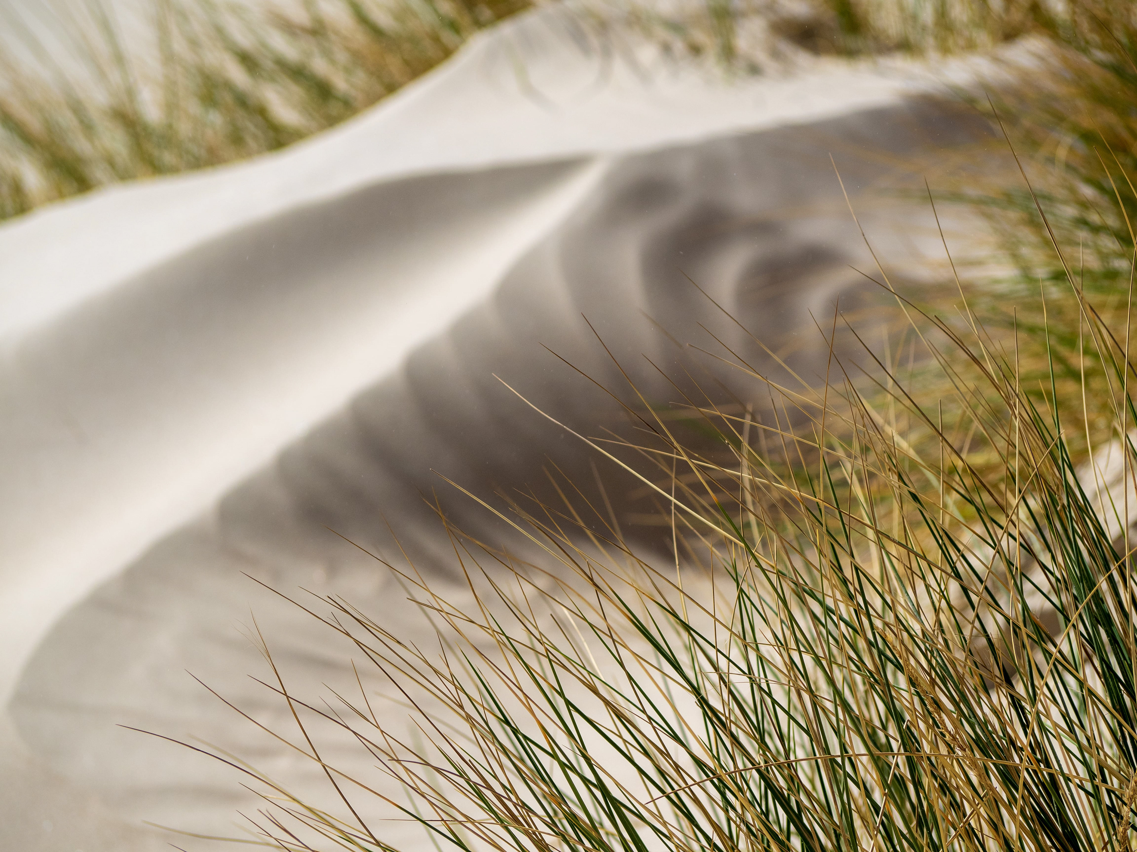 Sand Drifts