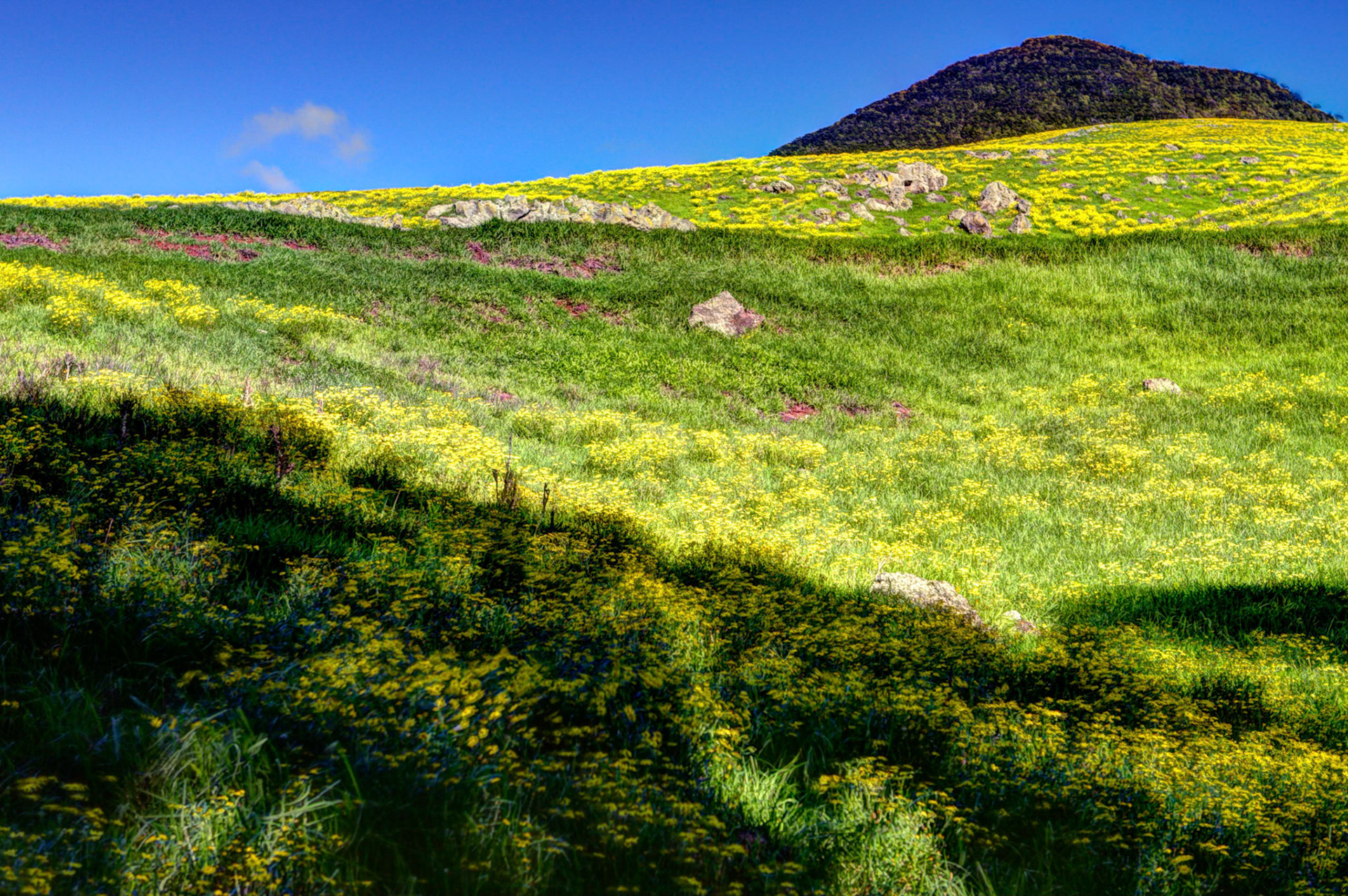 AR5B2269_70_71_72_73_74_75_fused copy