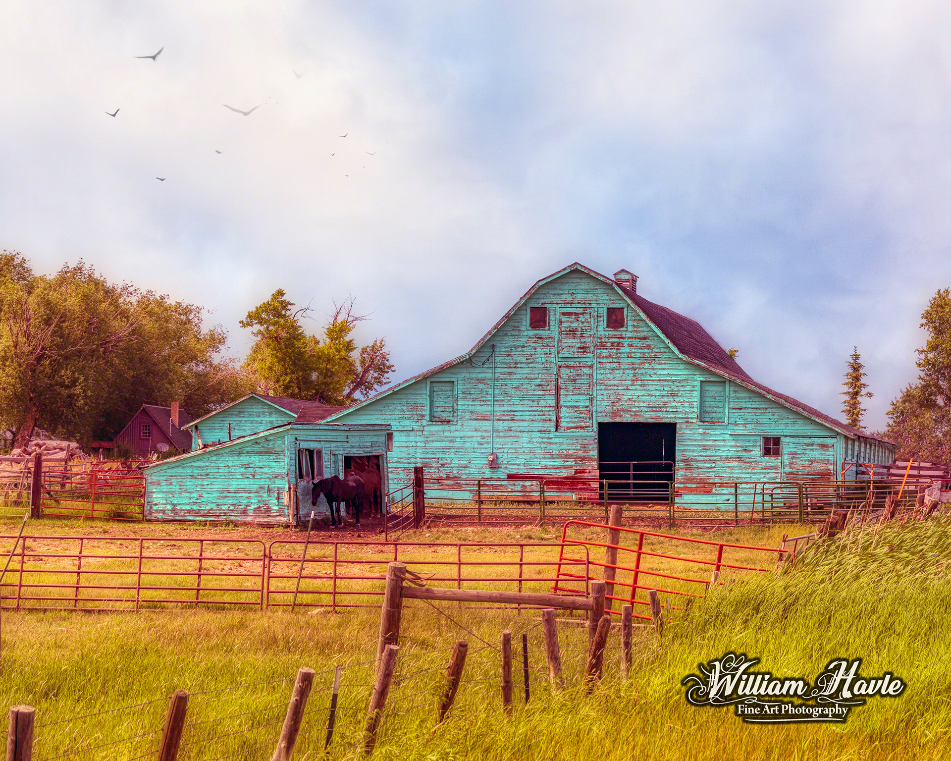 Big Green Barn