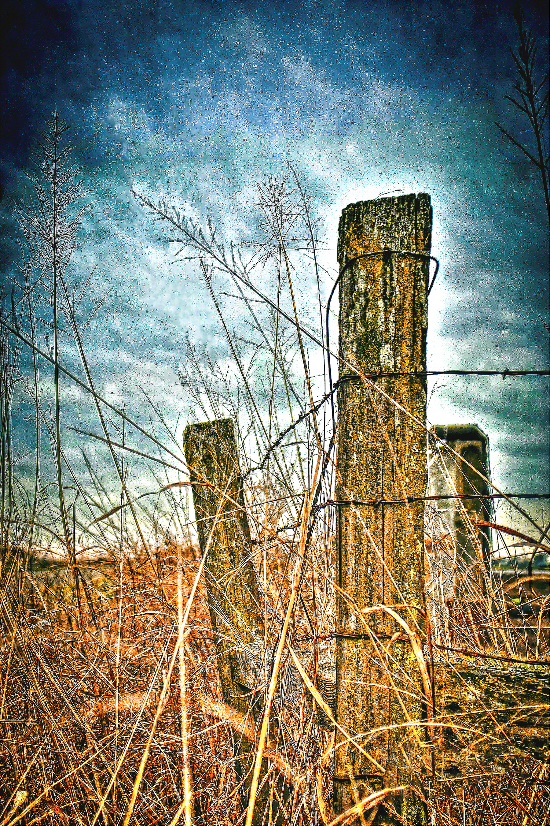 Barb Wire Fences