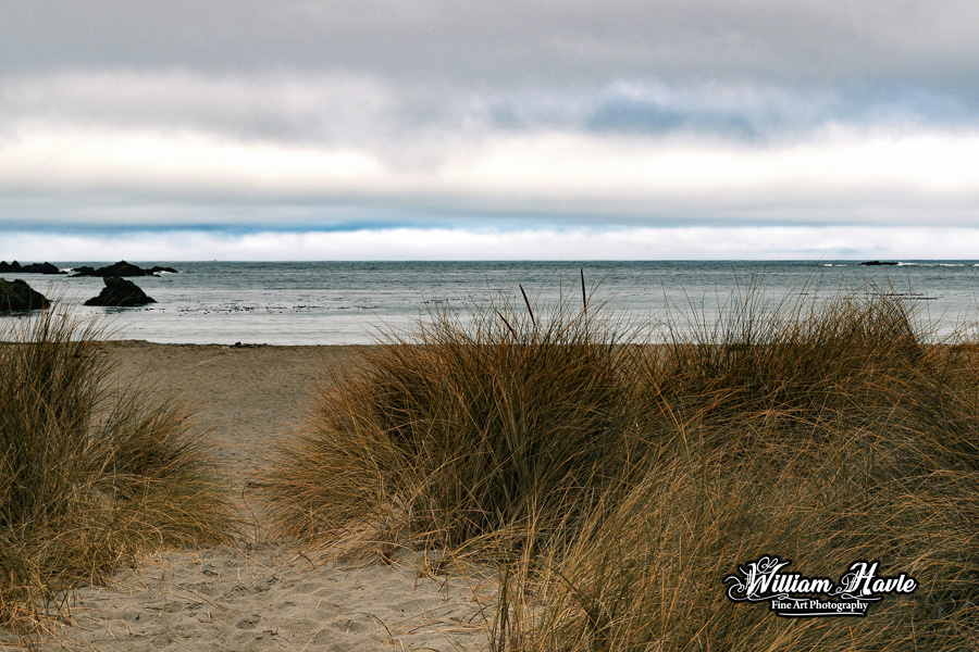 Grassy Beach
