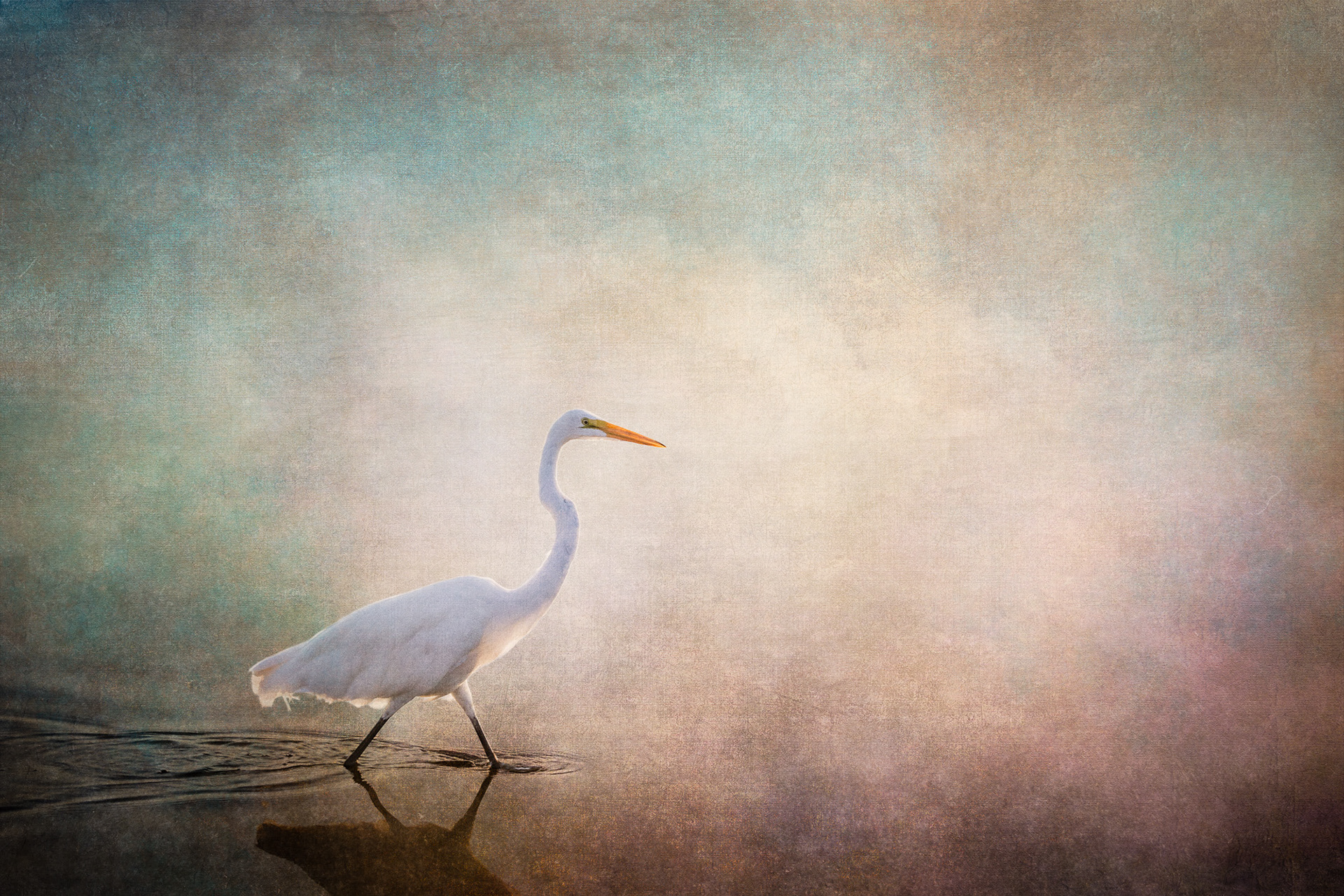 Wading to Wander