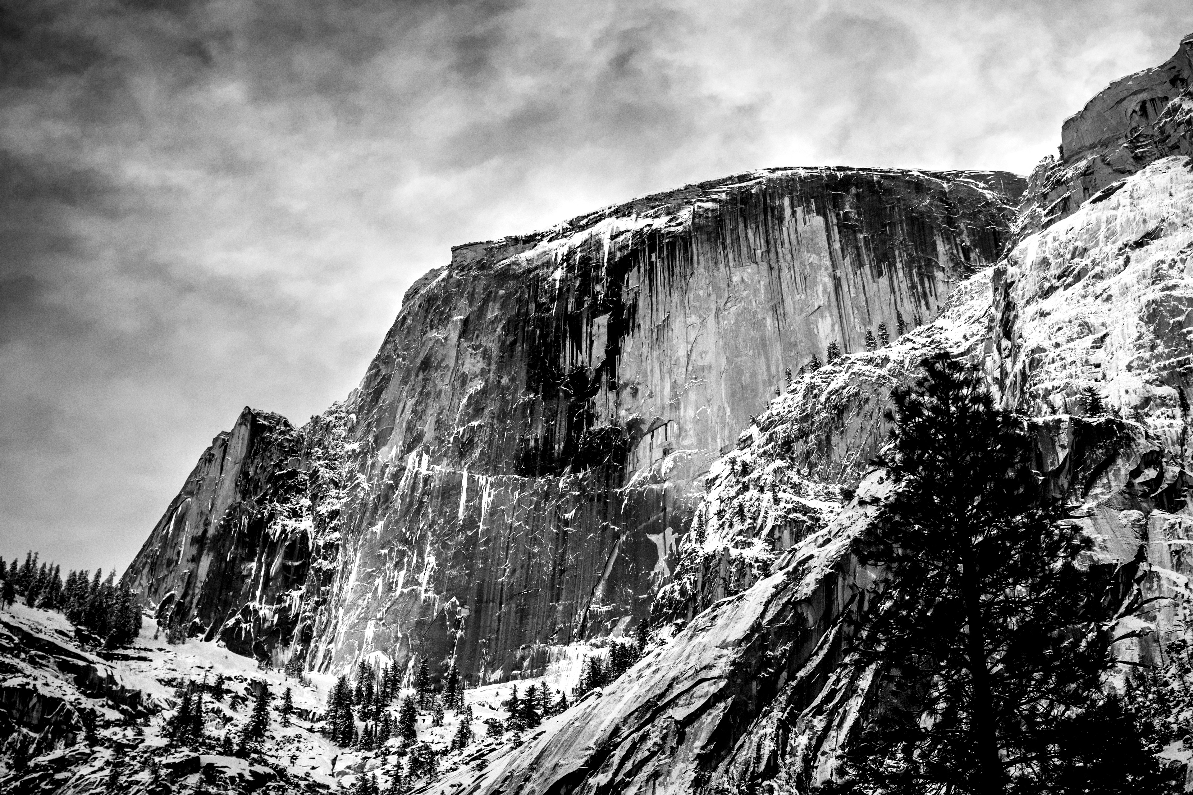 Half Dome- Yosemite National Park