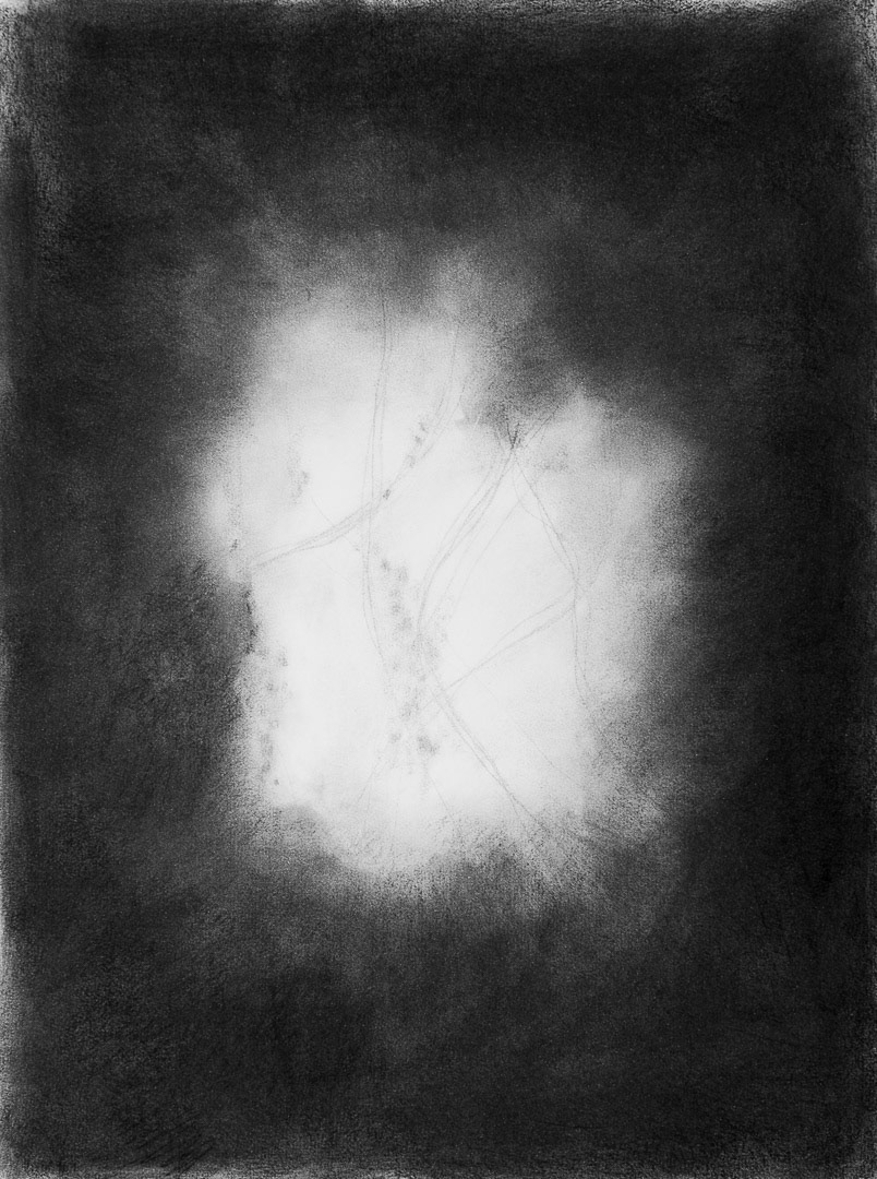 Fusain sur papier, 24 x 18 po