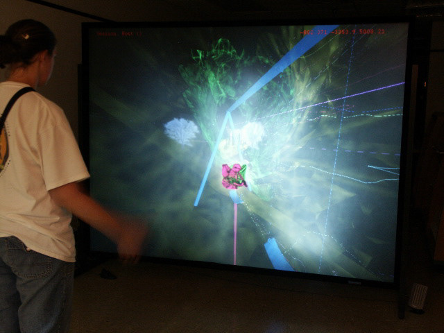 "Body w/0 Organs", dual-channel stereographic VR projection with audio, (DIY geowall), pop-up installation, Greenwood Mall, Bowling Green Ohio, 2008