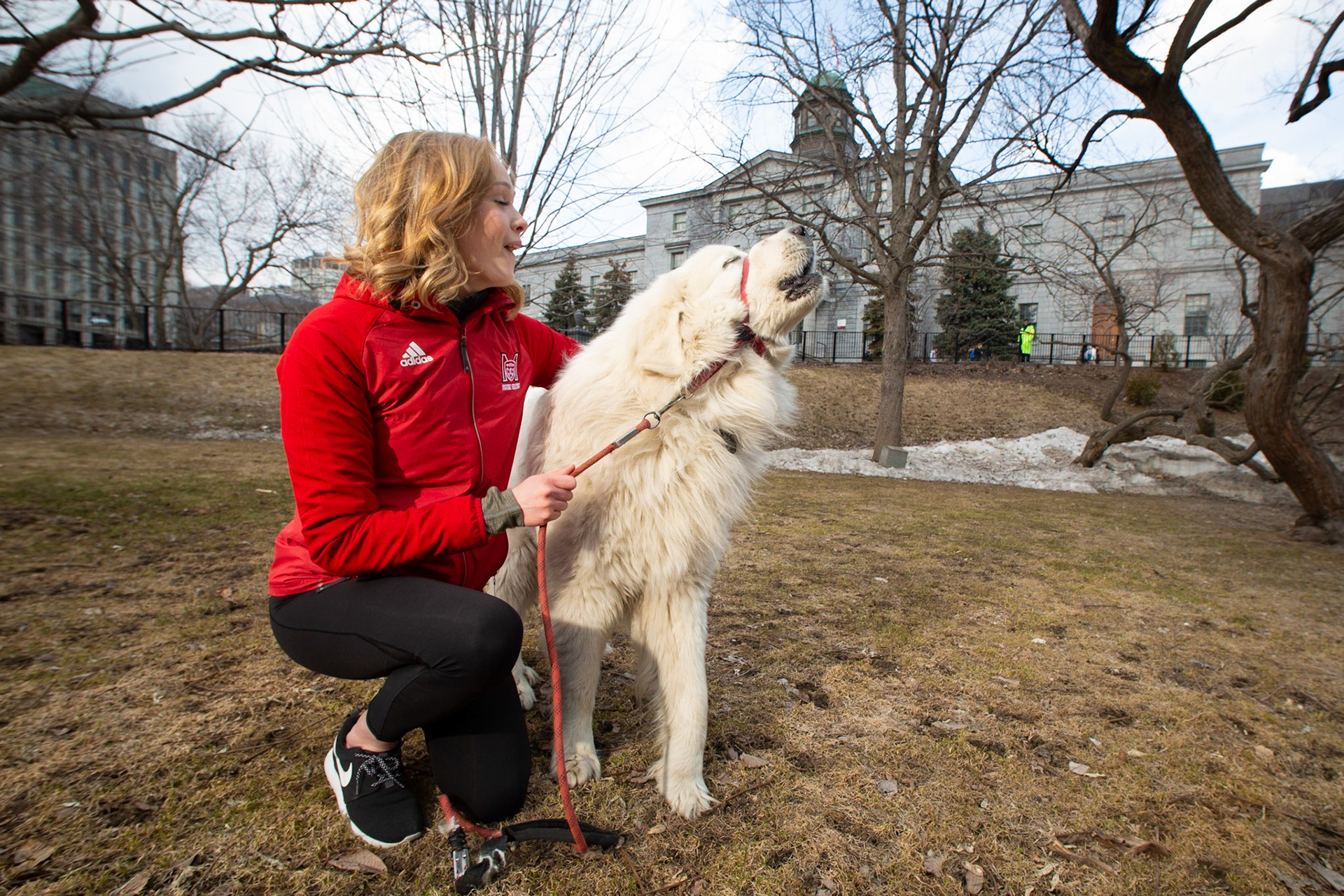 Canine campus celebrity Confiture expresses himself, accompanied by McGill kinesiology student Danika Kapeikis. April 2018.