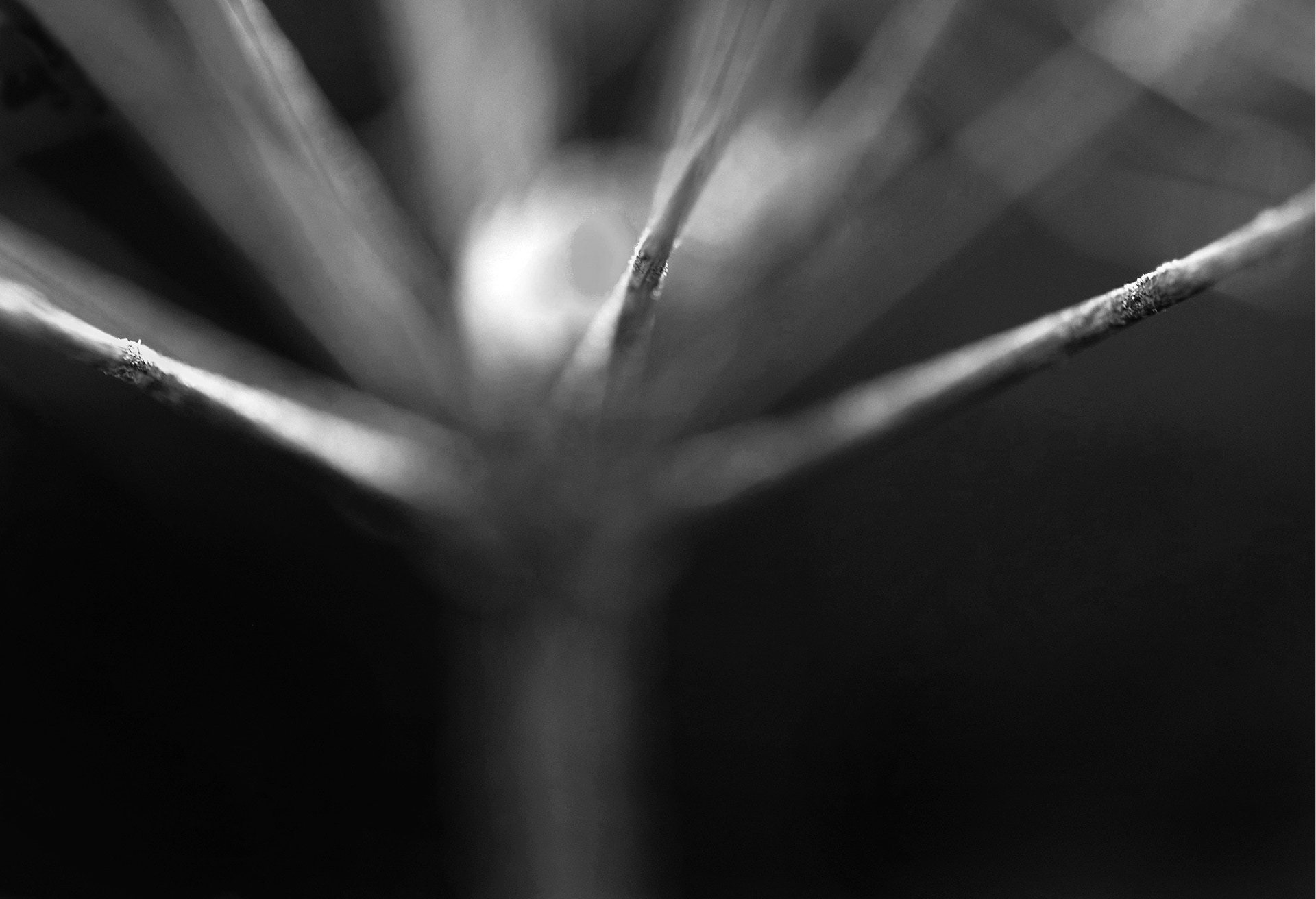 Four Corners (124). Archival pigment print on Arches 88