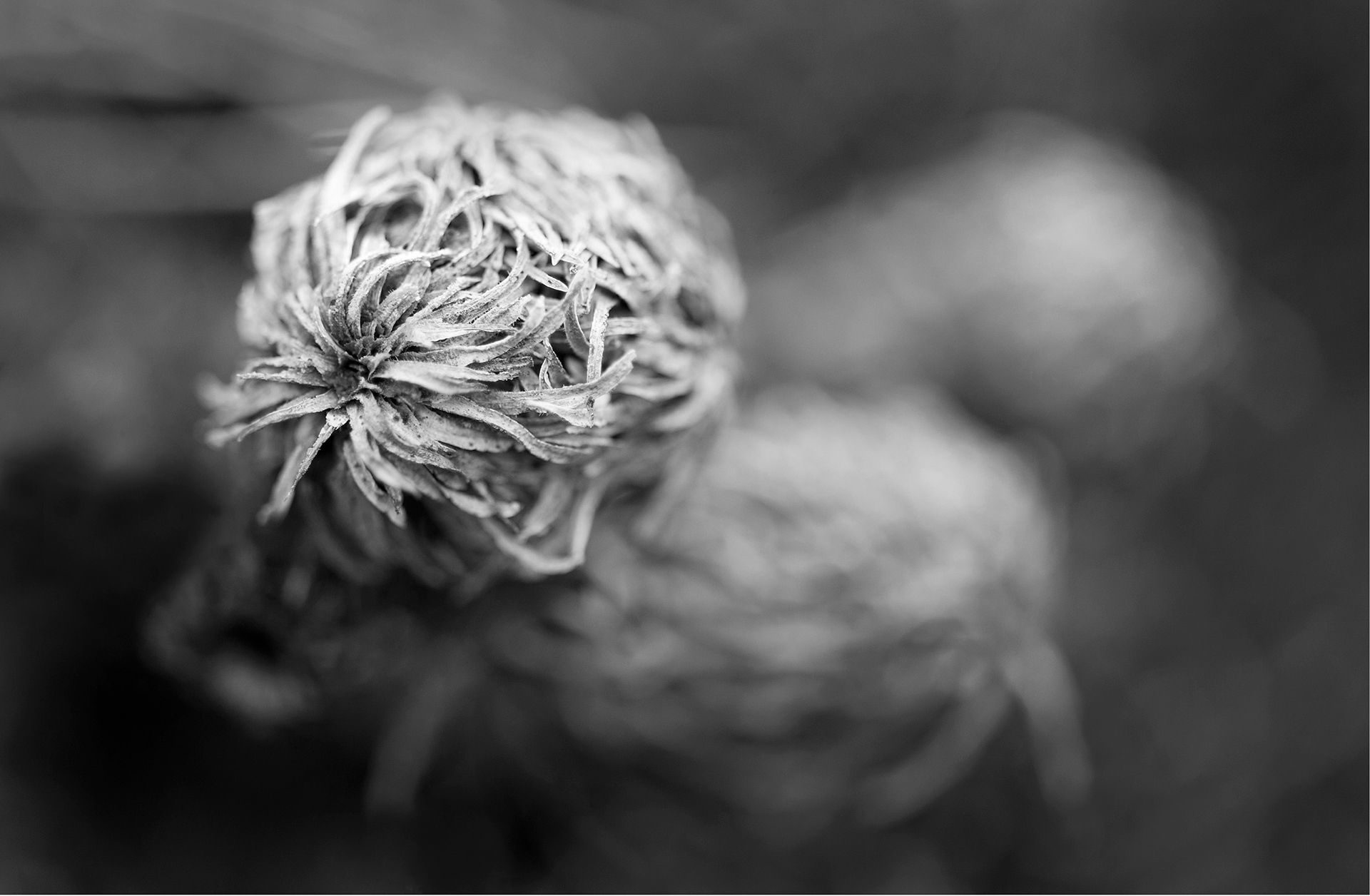 Four Corners (111). Archival pigment print on Arches 88