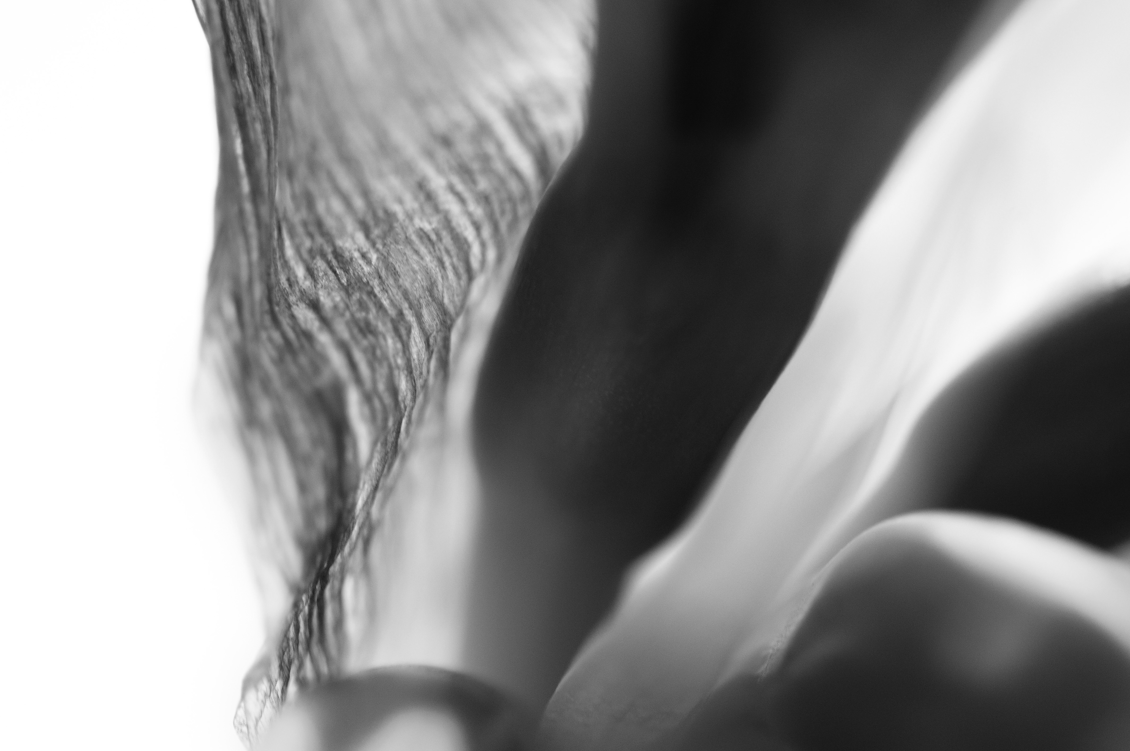 Four Corners (103). Archival pigment print on Arches 88