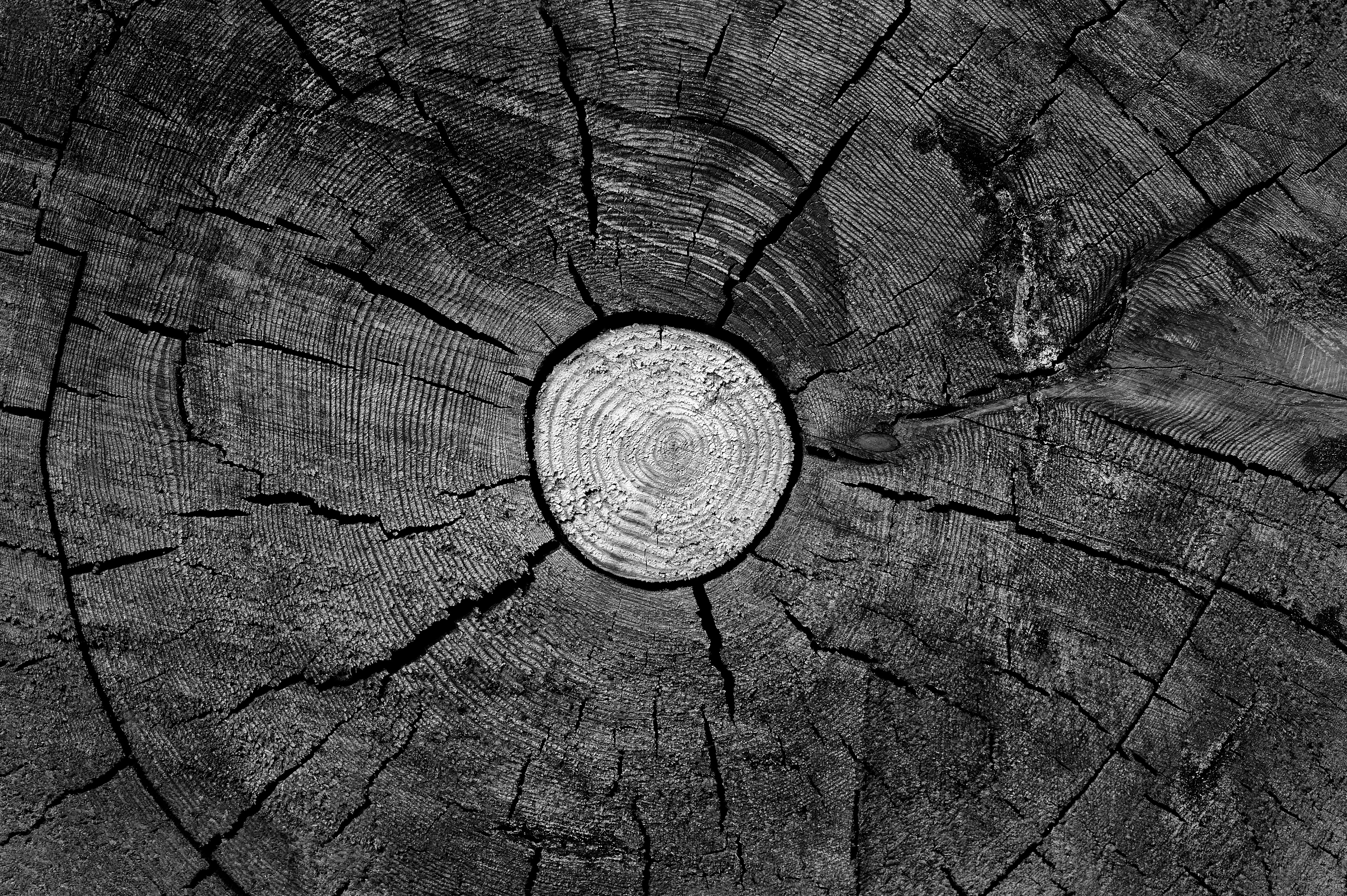 Four Corners (93). Archival pigment print on Arches 88