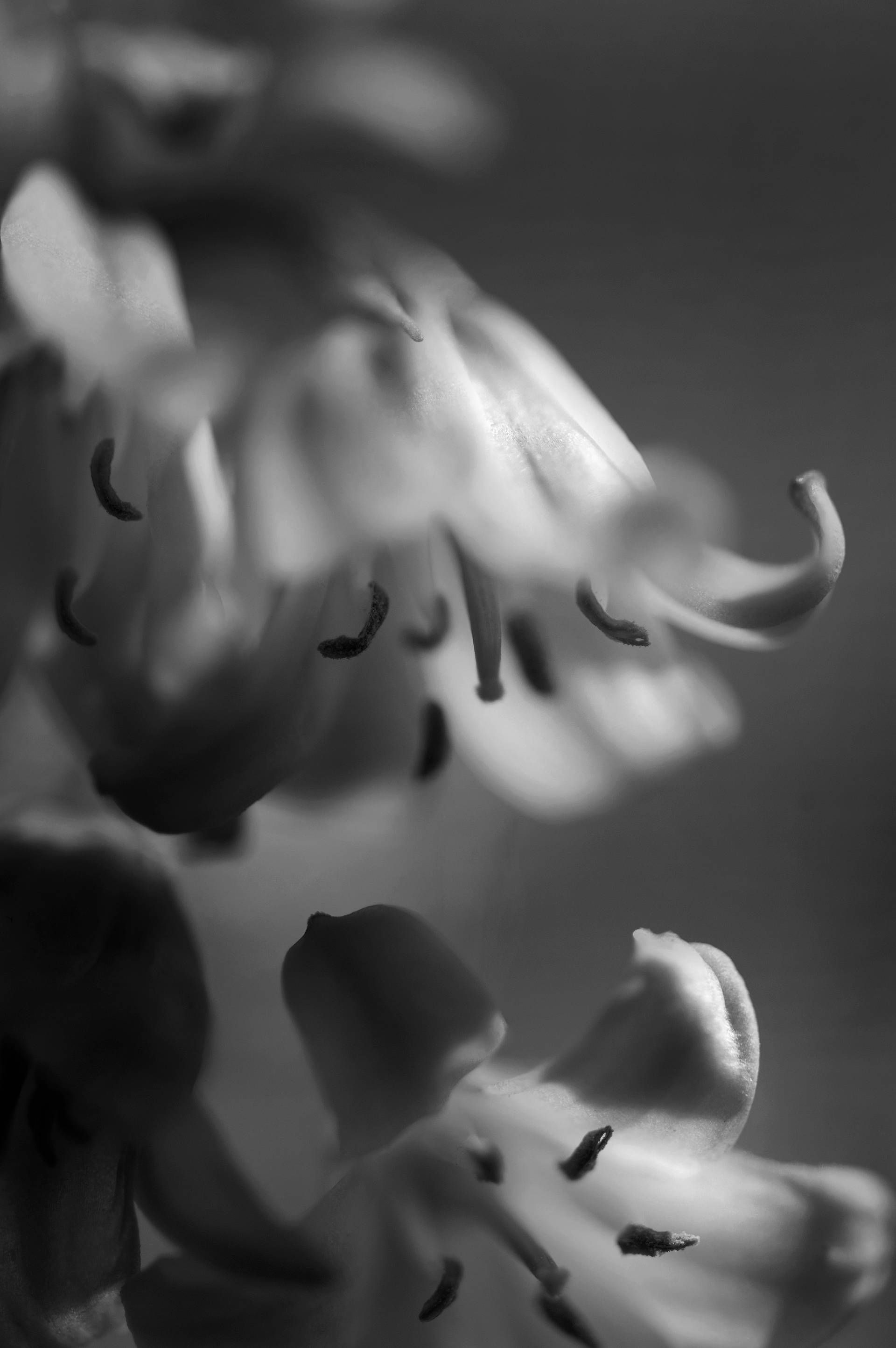 Four Corners (11). Archival pigment print on Arches 88