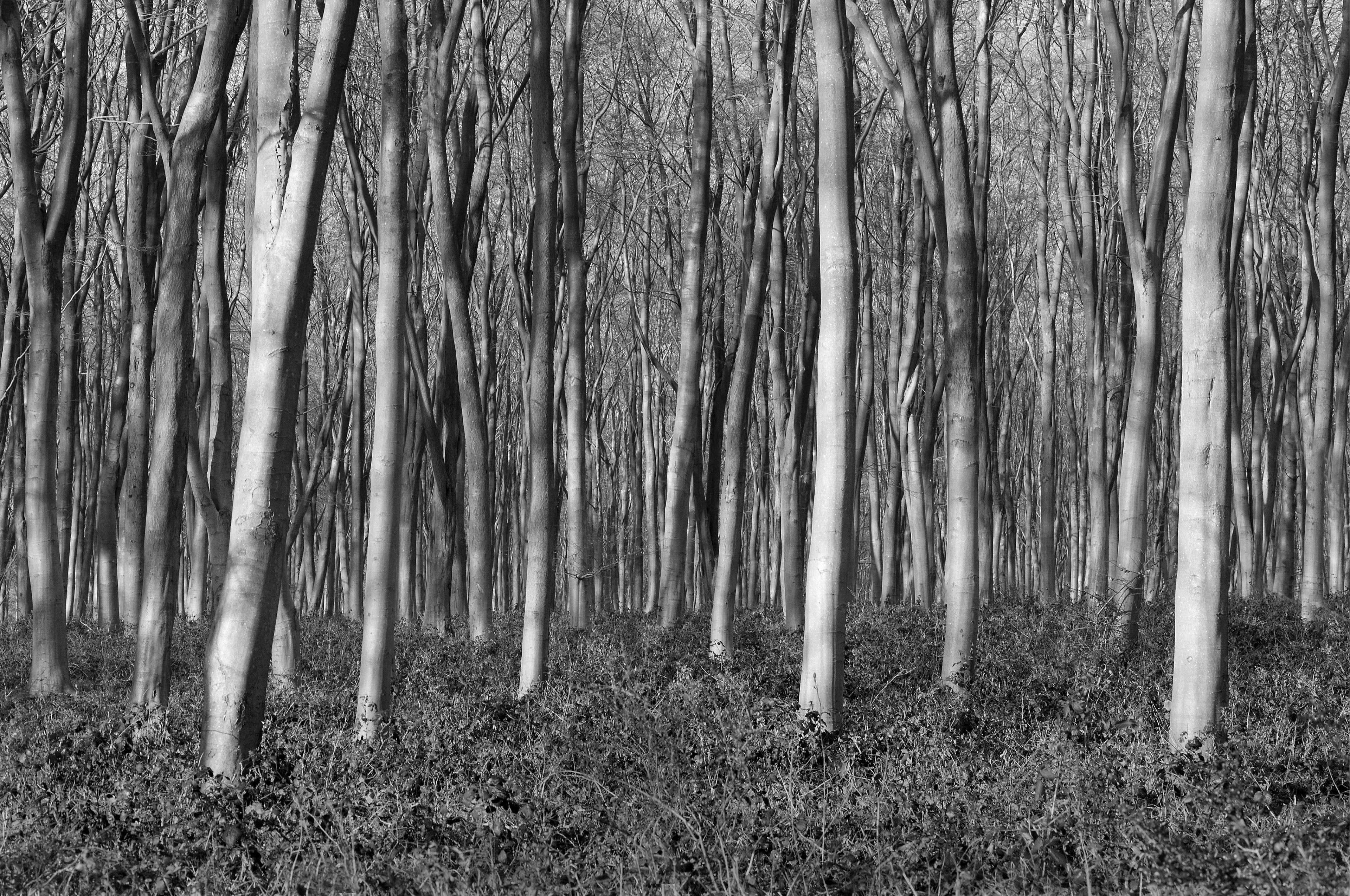 Four Corners (129). Archival pigment print on Arches 88