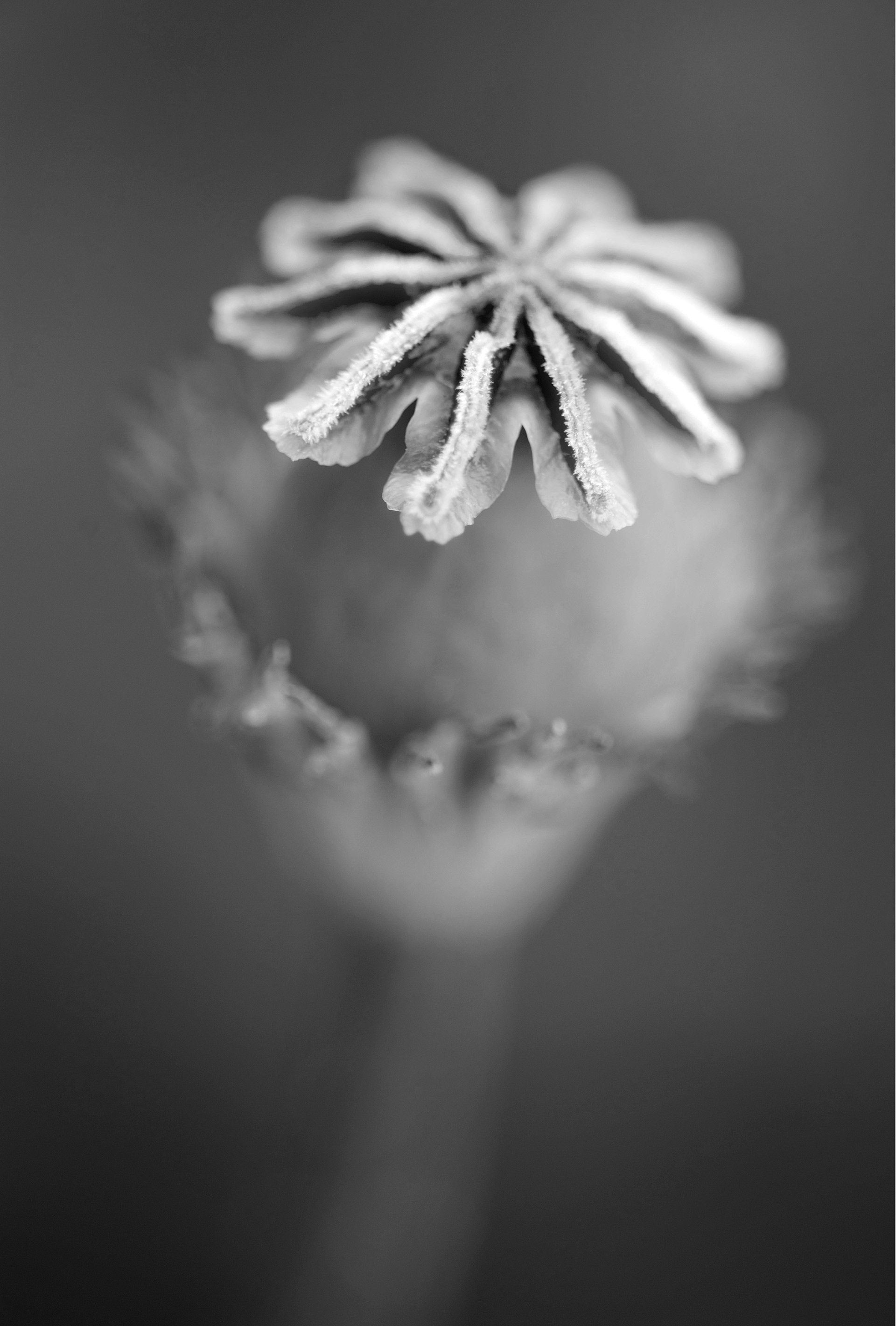 Four Corners (44). Archival pigment print on Arches 88
