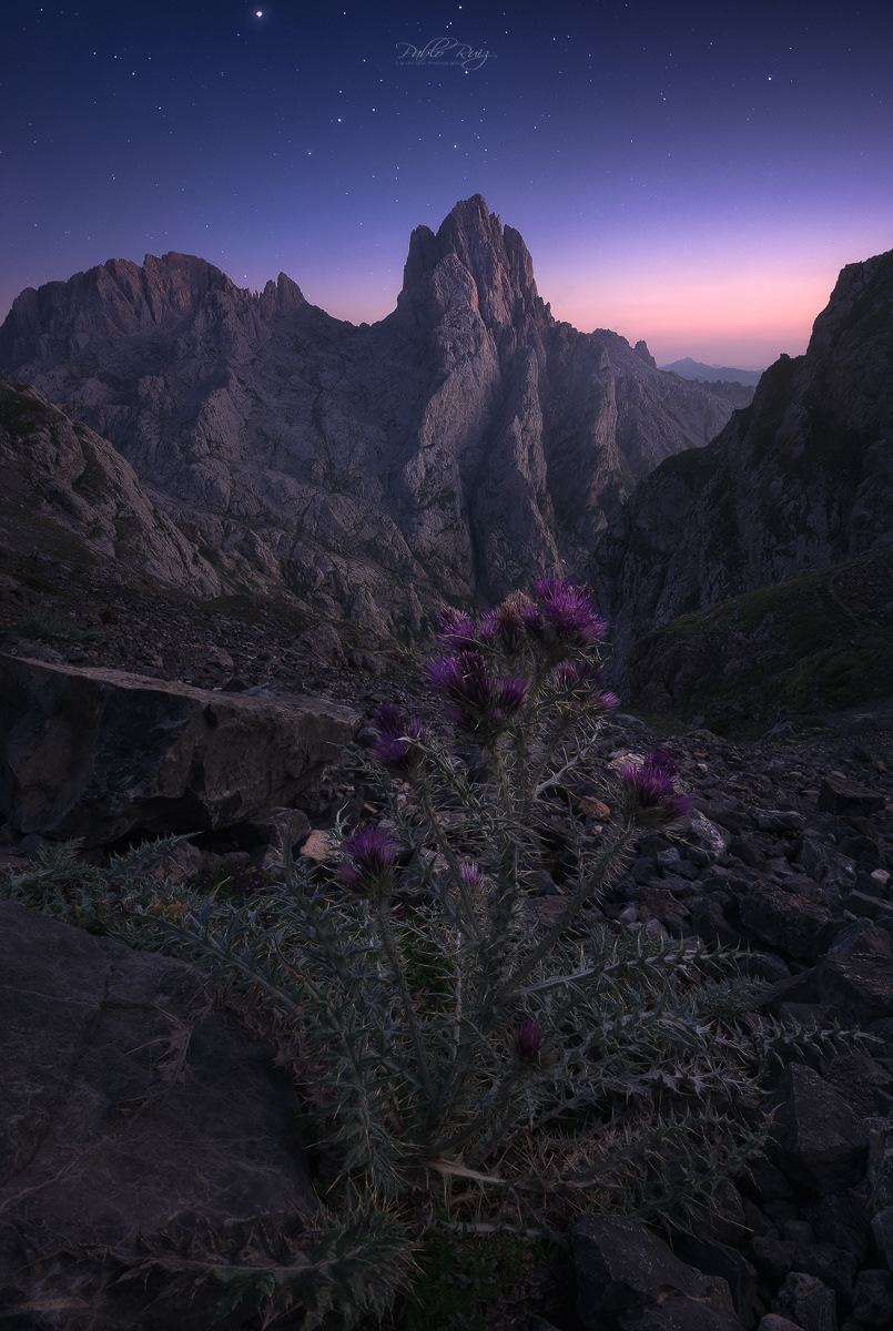 Picos de Europa