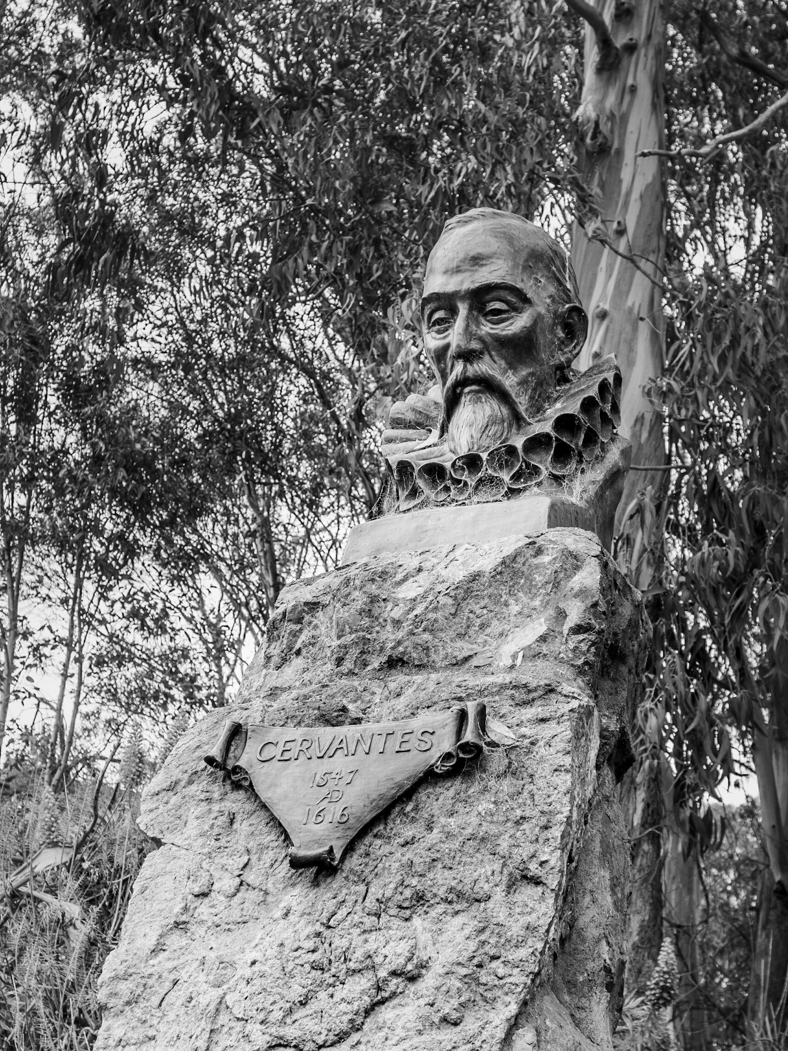 Cervantes, Golden Gate Park, San Francisco, 2009