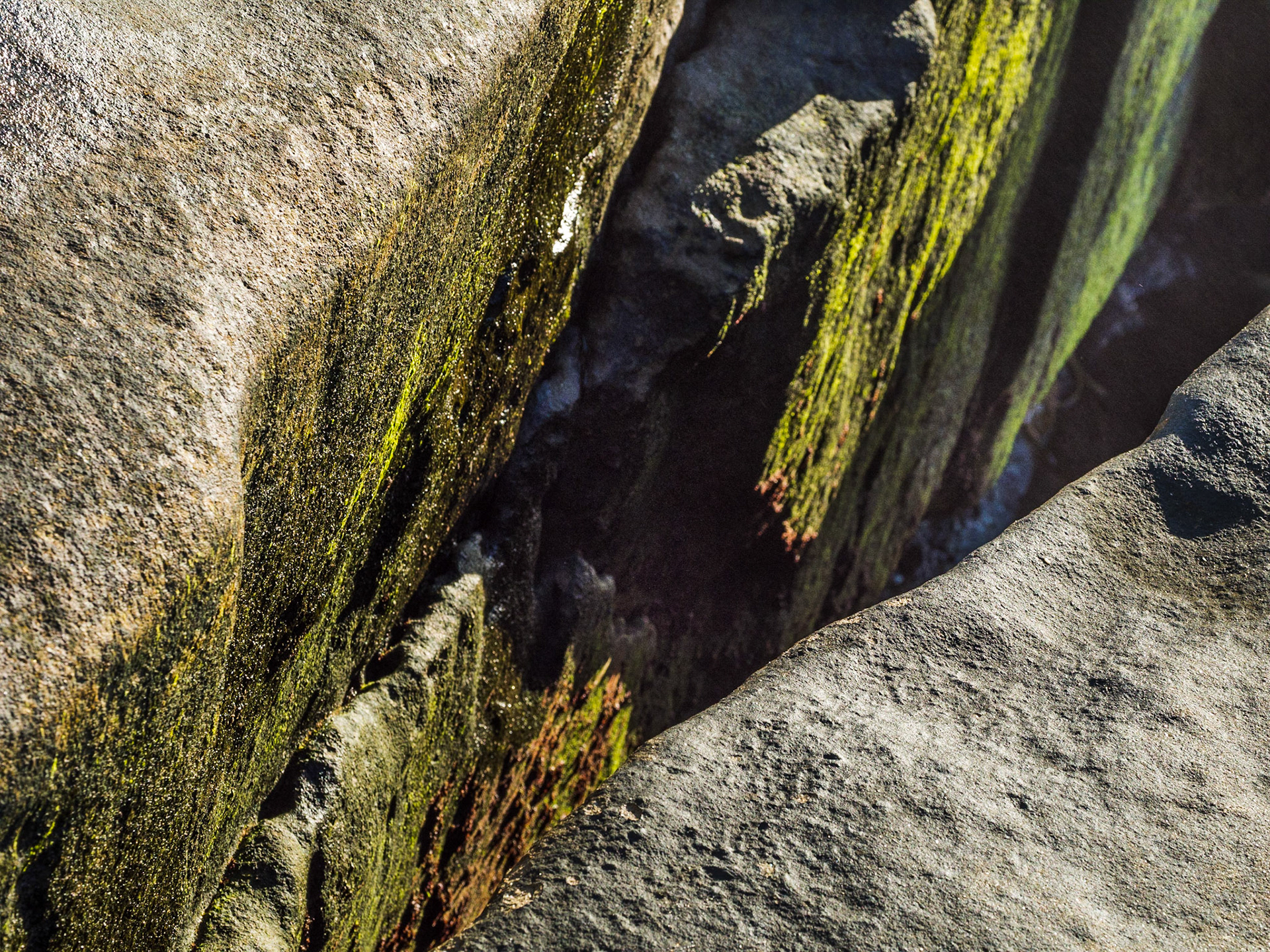 La Jolla Coastal Rock Study 10, 2015