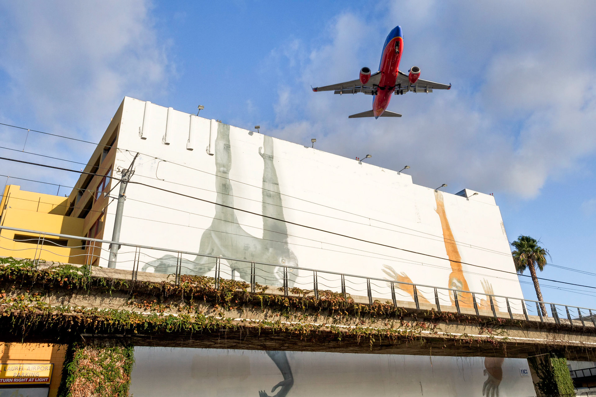 Apes and Airliner, Downtown, San Diego, 2014