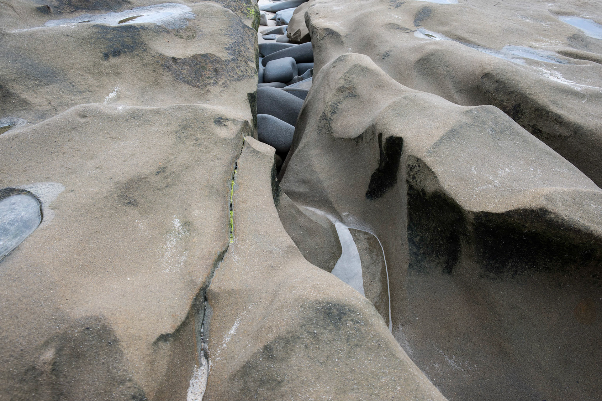 La Jolla Coastal Rock Study 14, 2015