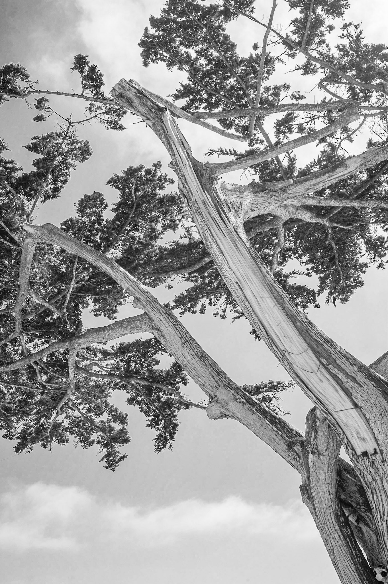 Carmel-By-The-Sea, 2010