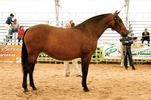 Gala's mother Camelia XXII