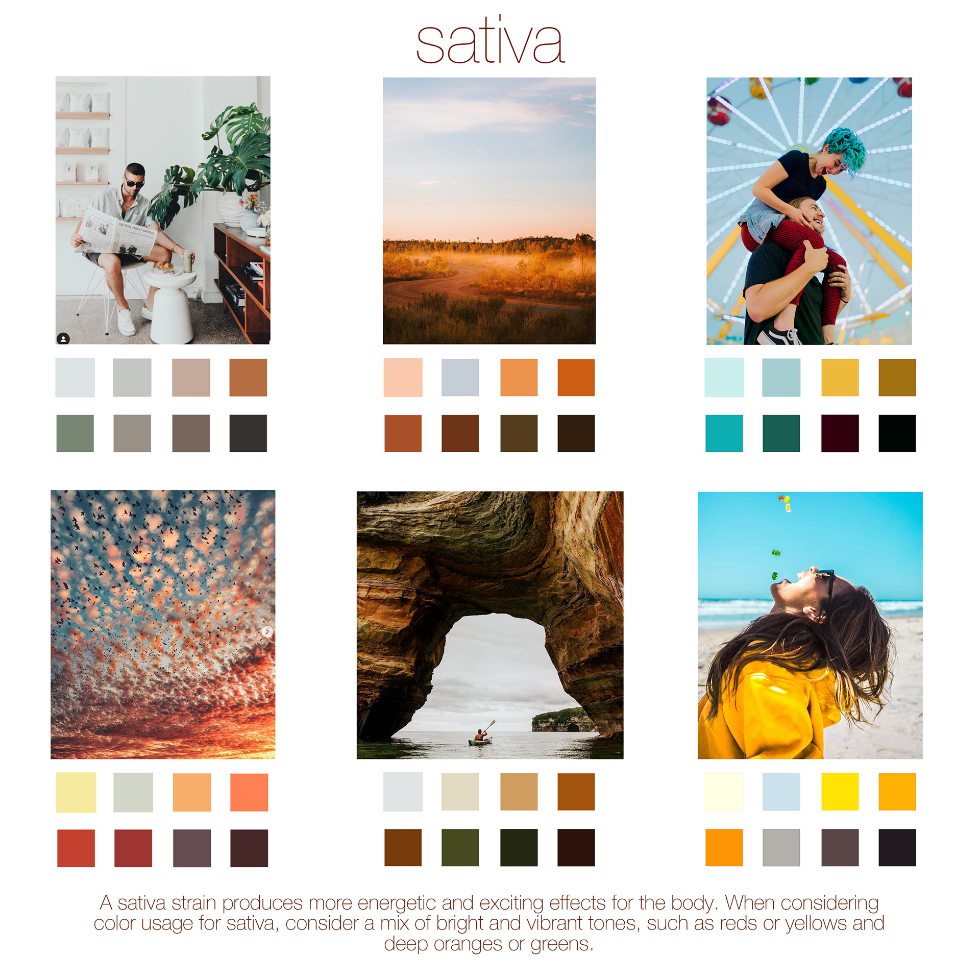 Modern Harvest Brand Guidelines - Exploring color samples for a Sativa strain