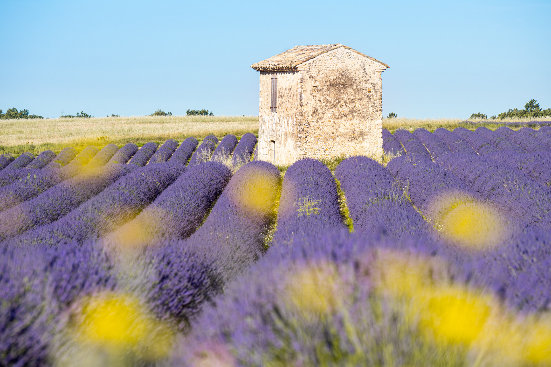 Provence, 2020