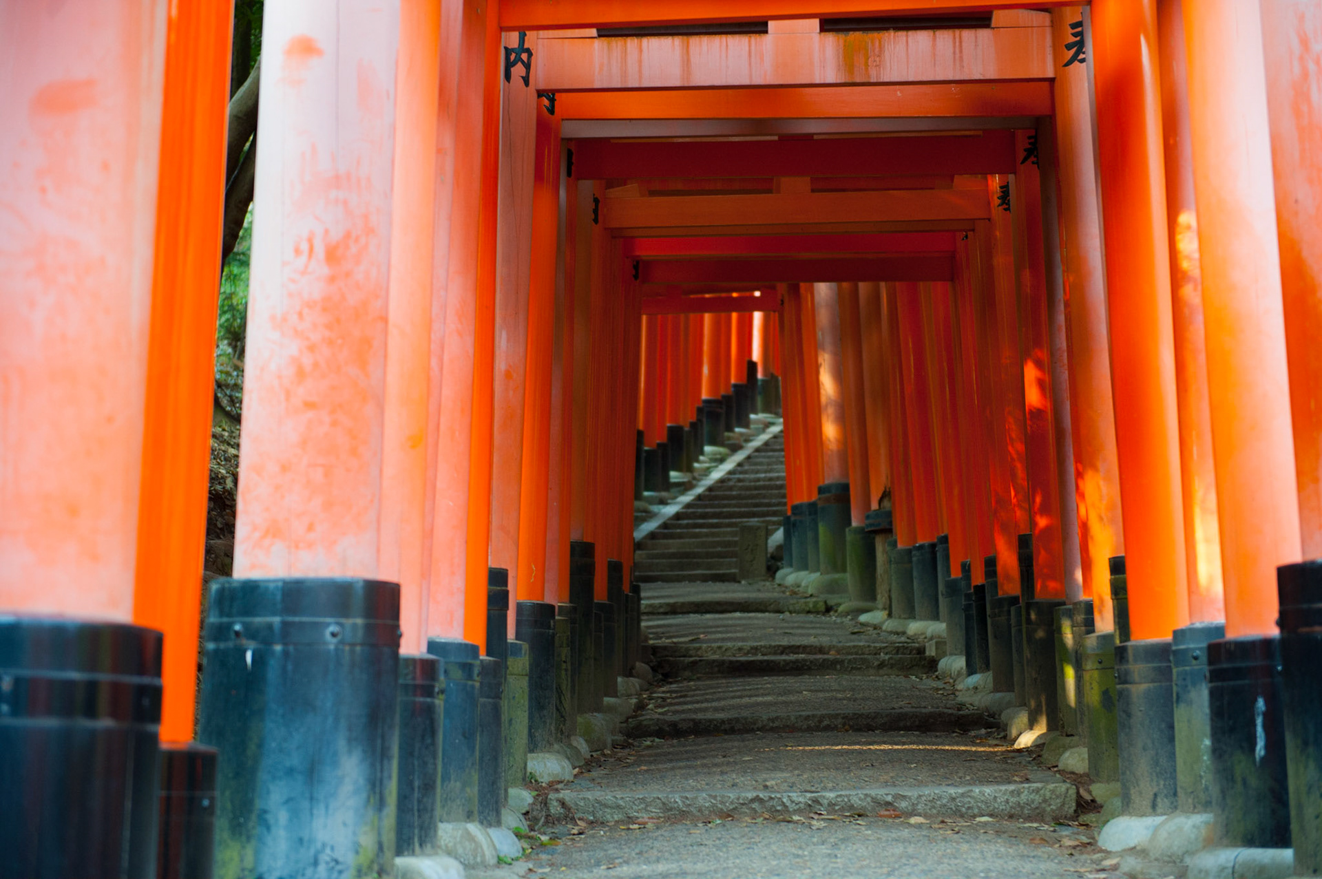 Vivid Corvid Photography - Japan: Torri Temple