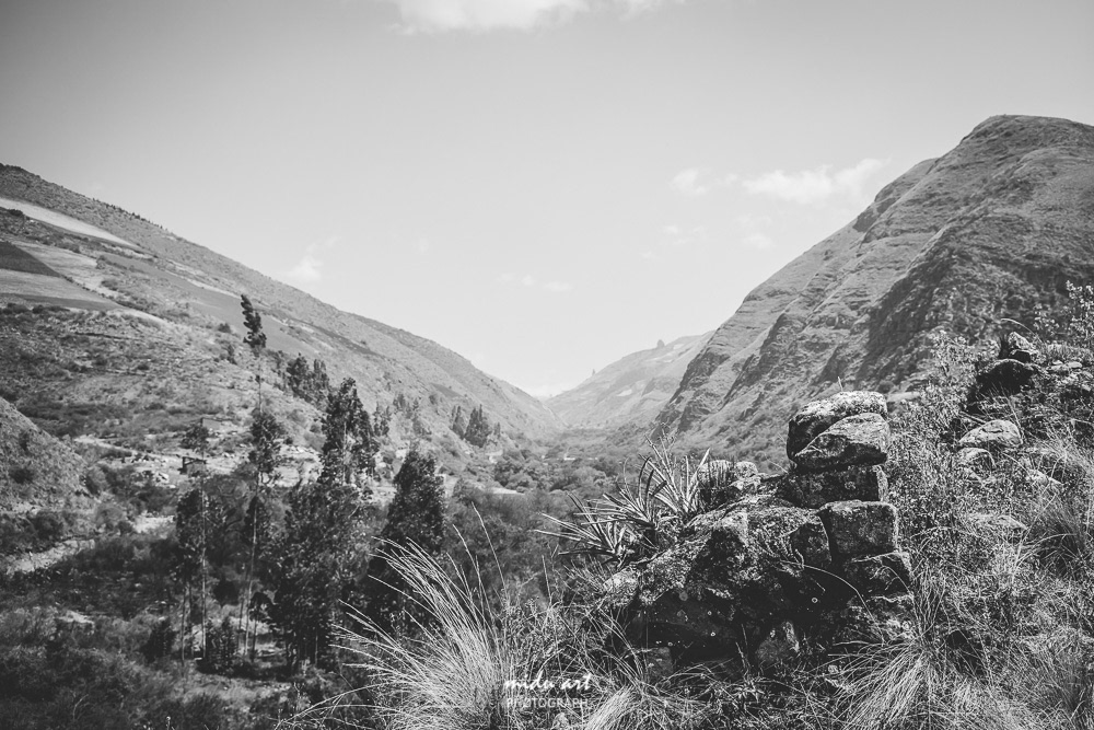 midu.art Photograph and videograph. The idea and concept of MIDU.ART was born in Berlin and constructs routes to relive the actual roots of original photography. The most important and attention catching factor of MIDU.ART is originality and rawness photos.