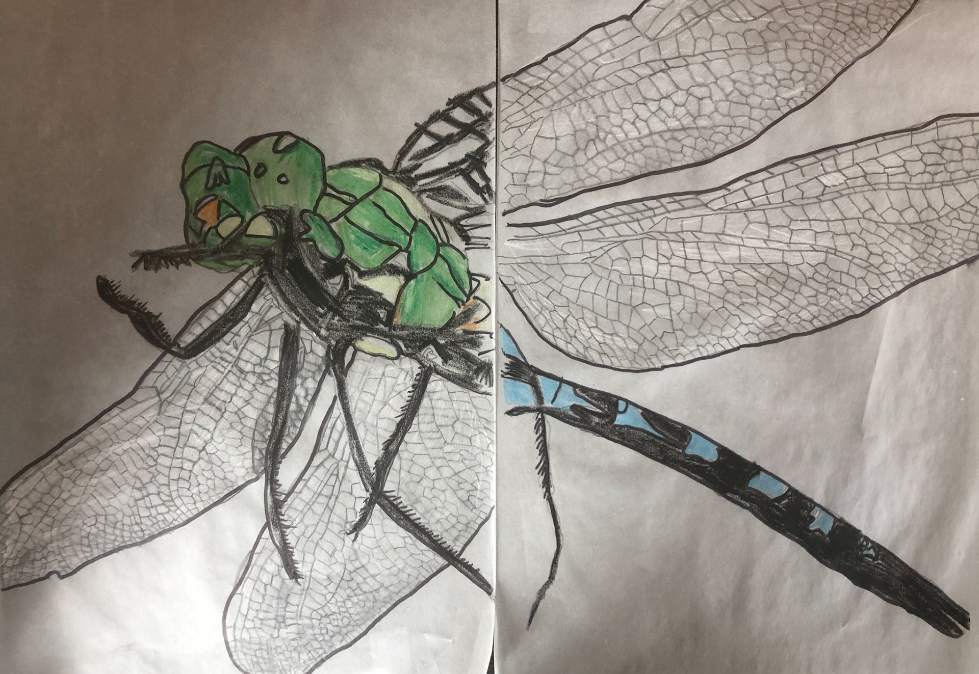 Marlow Koppenhagen Rm 16