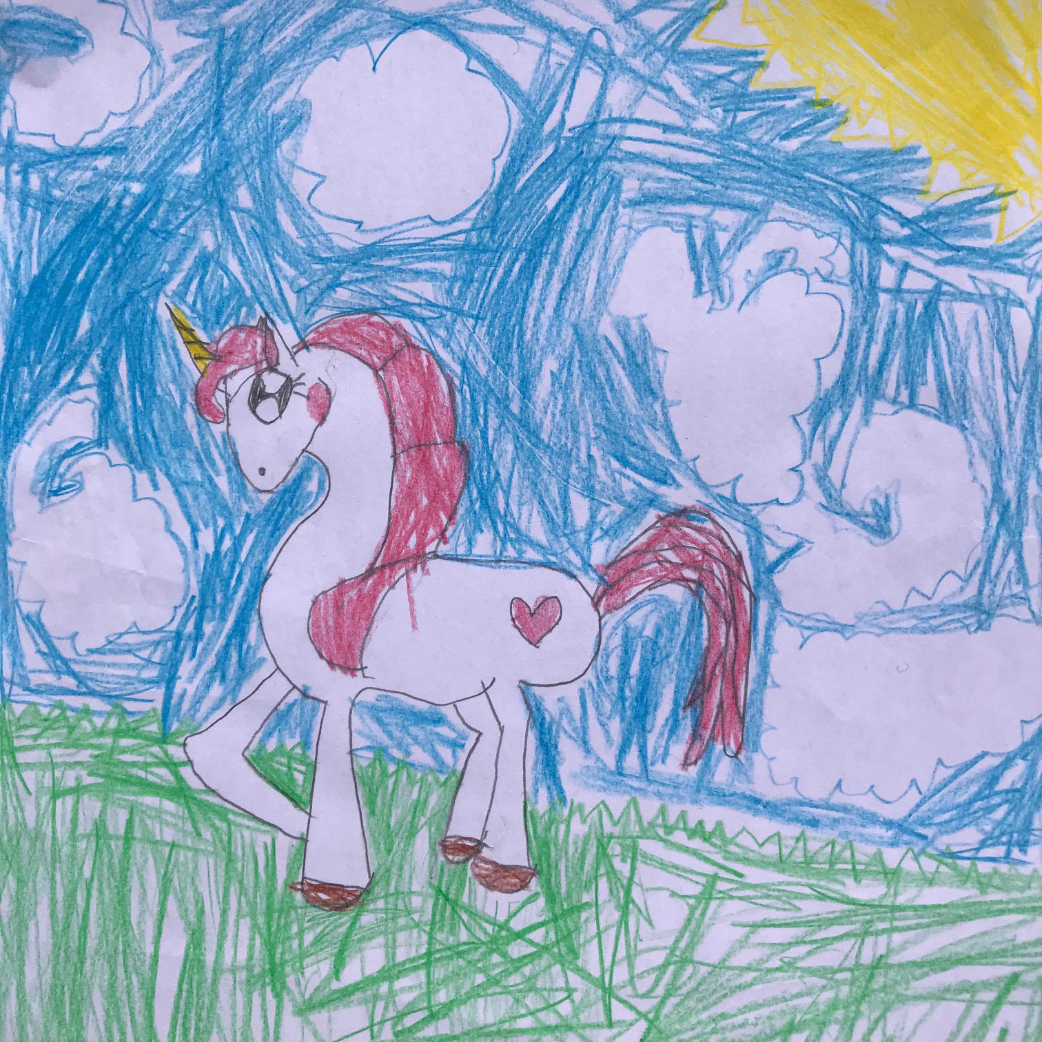 Catalina Fugon-Jara Rm 16