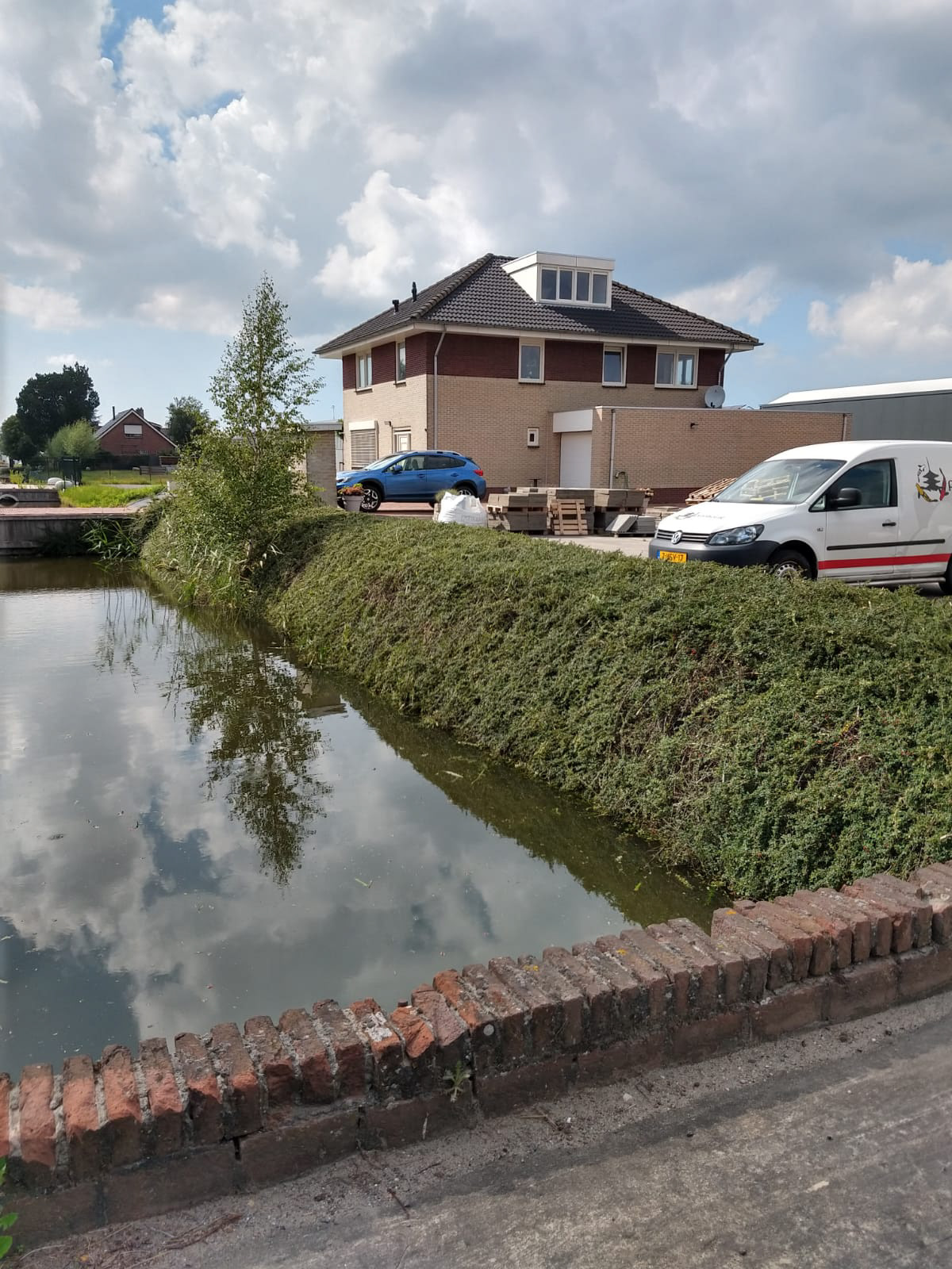 Foto 3: Eindresultaat Gesnoeide coteneaster