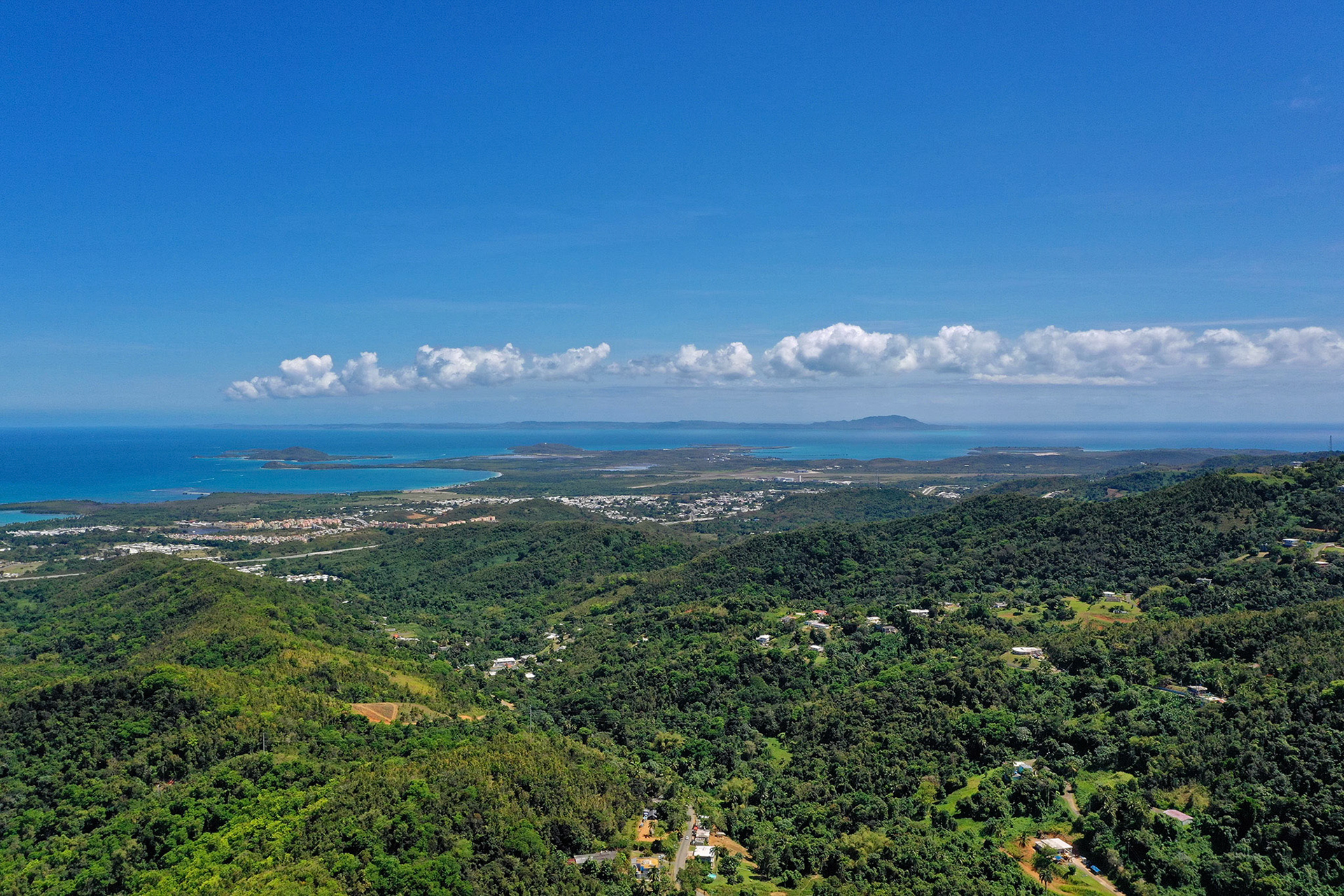 Ceiba y Vieques