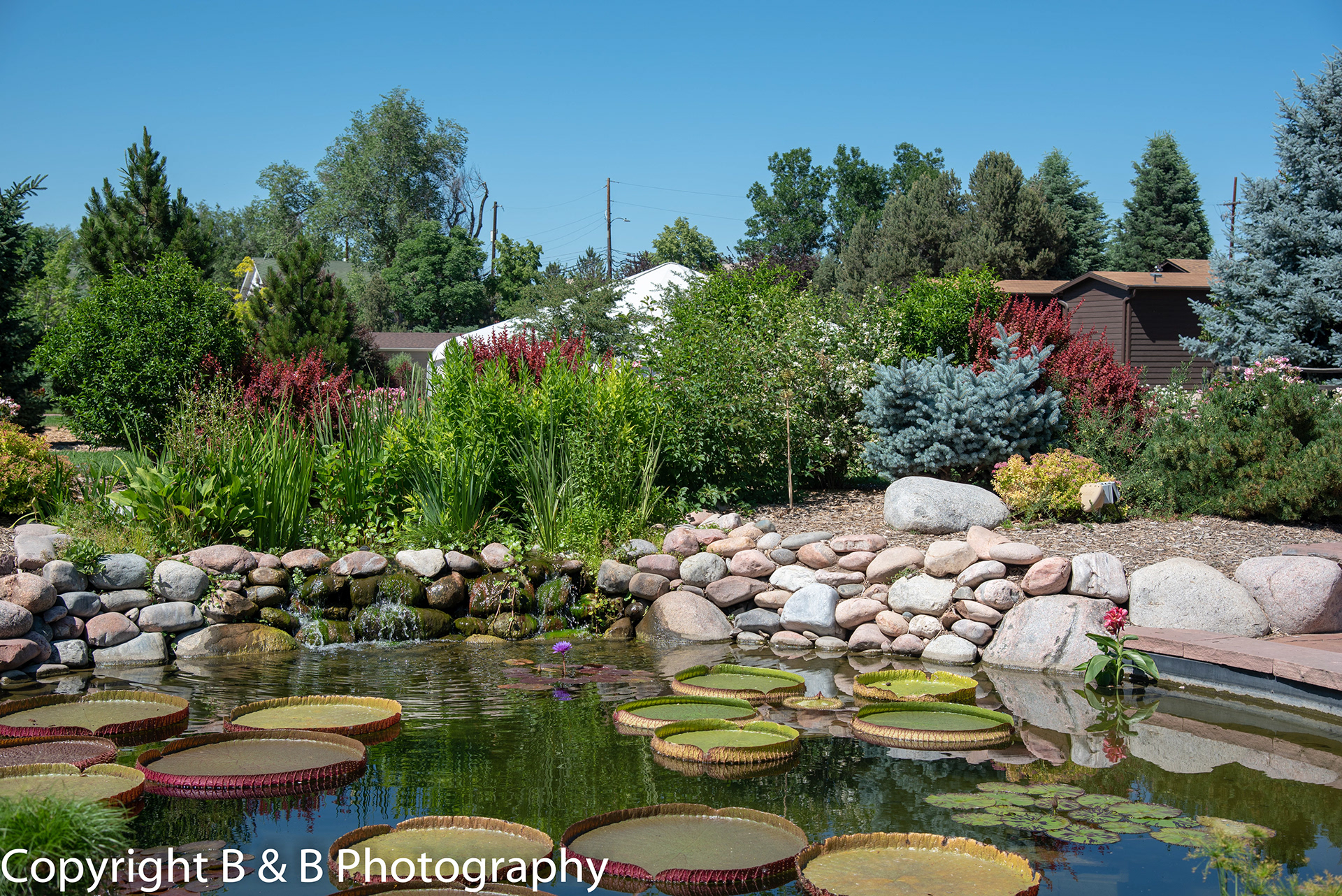 B & B Photography Littleton Hudson Garden