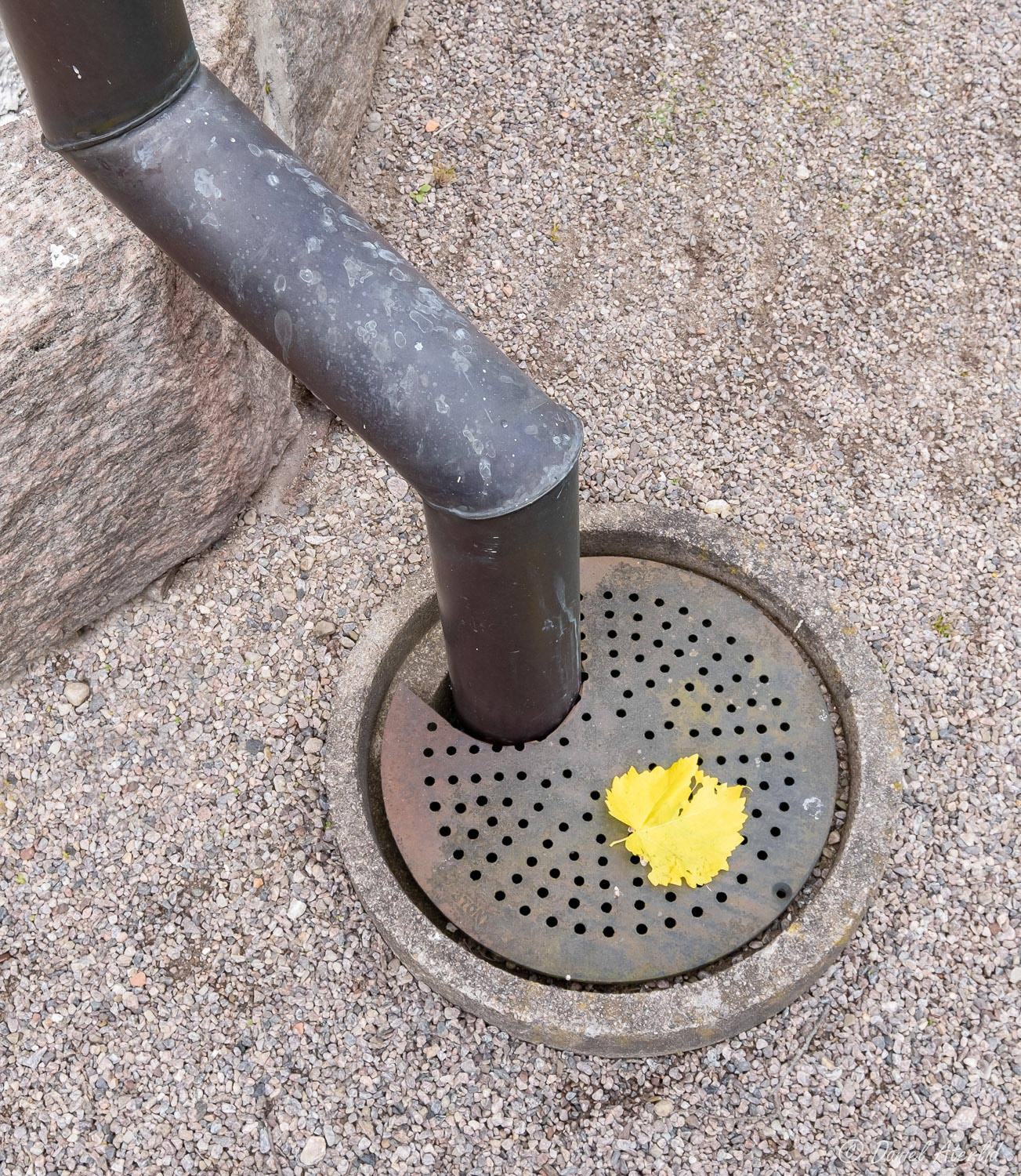 Höstlöv
