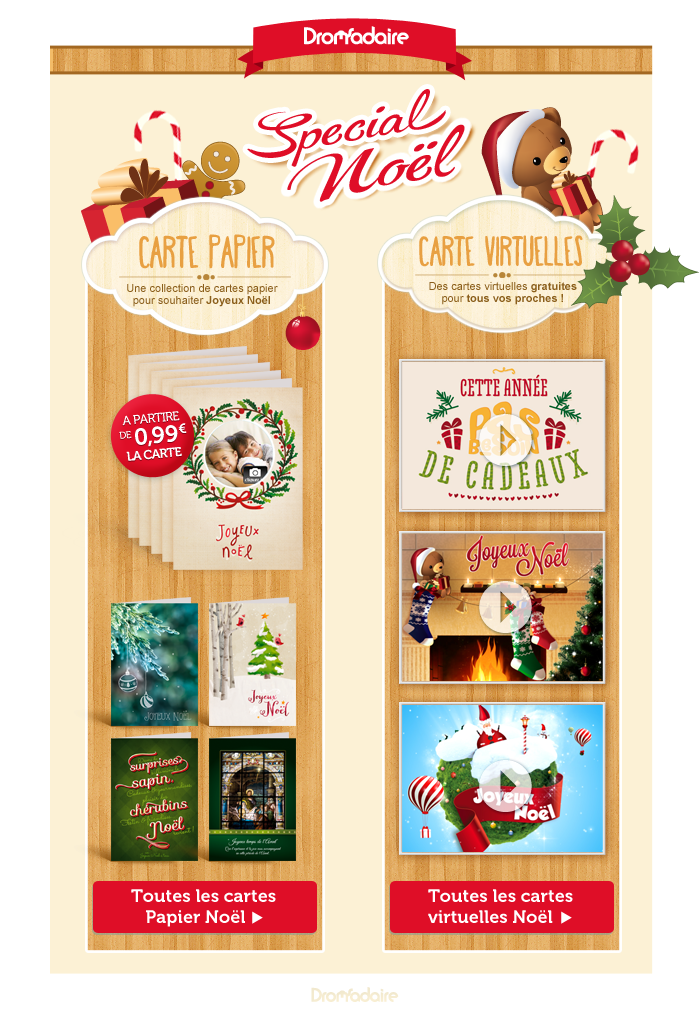 Adrien De Vial Newsletter Dromadaire