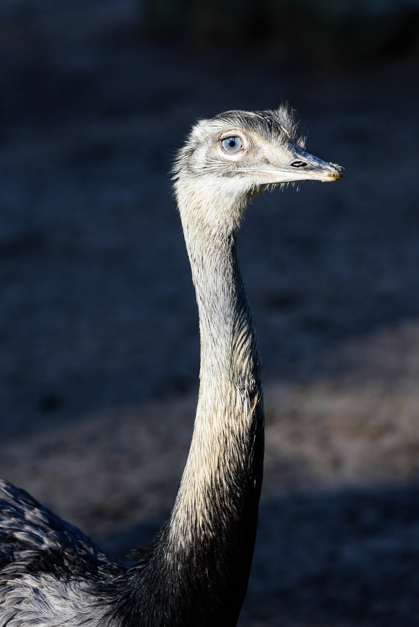 Foto von Thomas Schulze