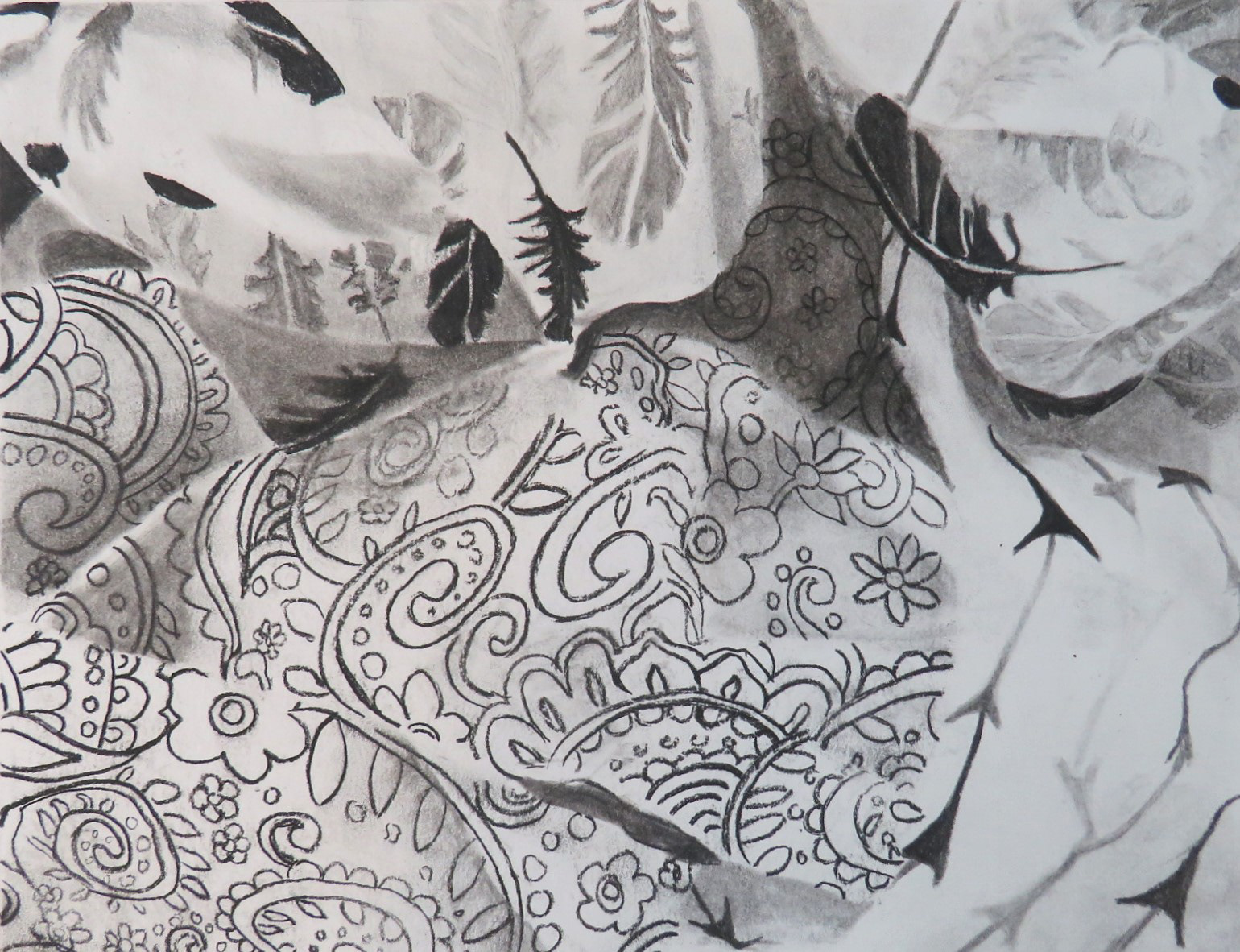 Fabric Value Study (Charcoal)