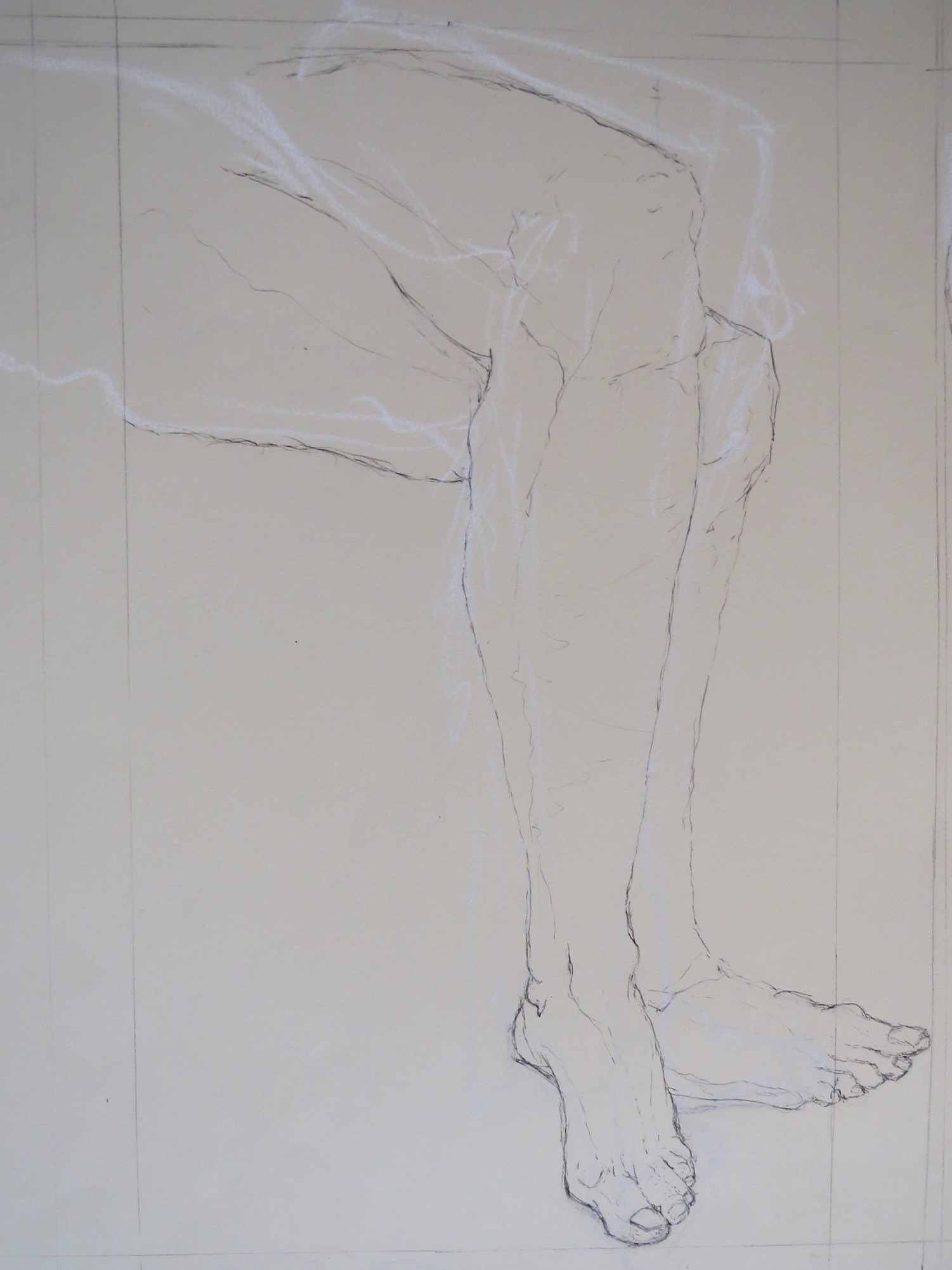 Legs Study